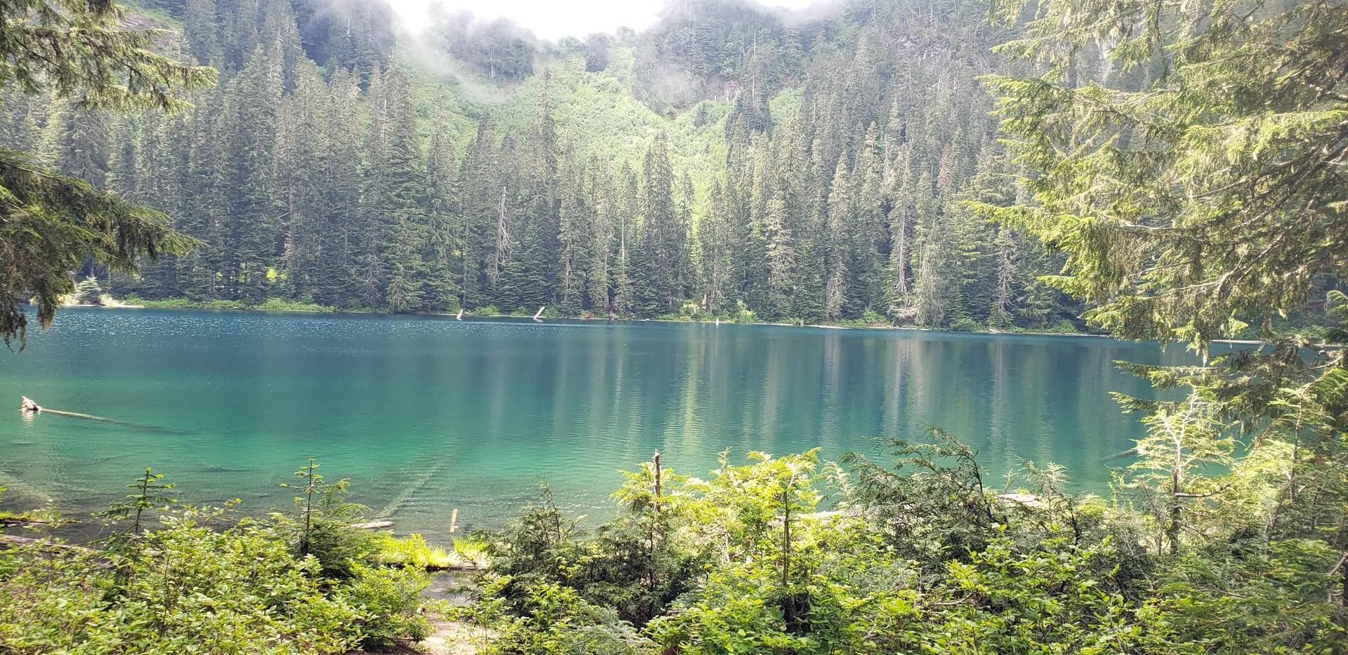 Turquoise lake surrounded by dense evergreen forest under bright, hazy sky. A person swims.