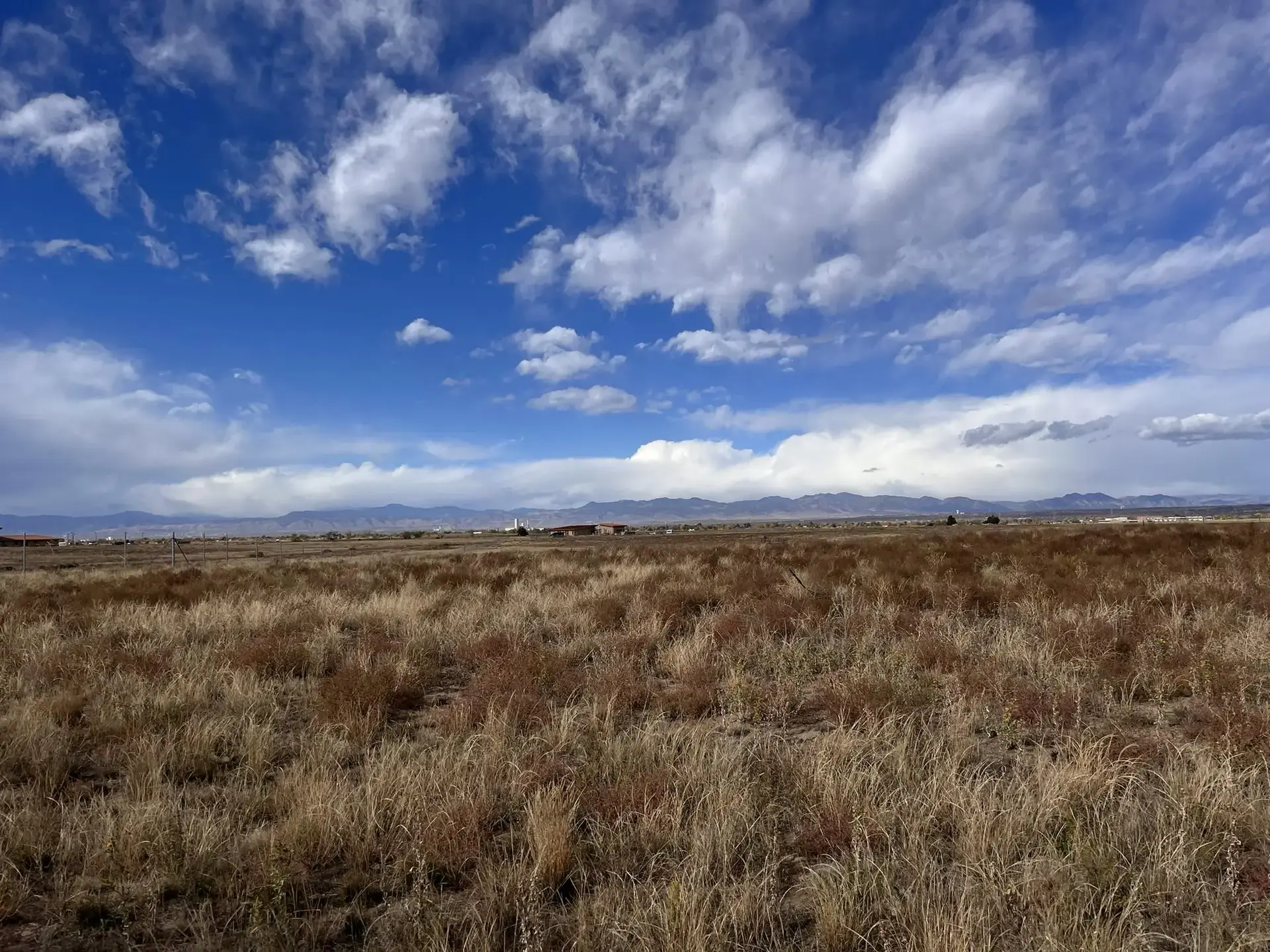 Vast dry grass field under a bright blue sky with white clouds.