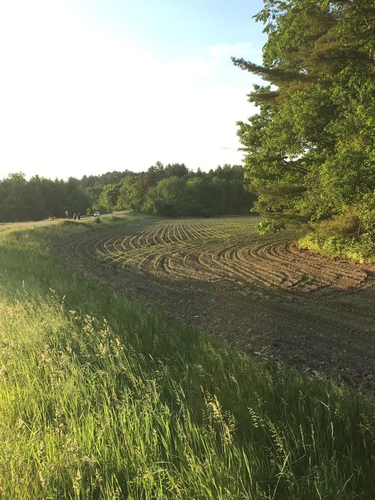 A freshly tilled field with curved rows under a bright sky, surrounded by trees. - Contoocook Covered Bridge – White Park loop from Concord