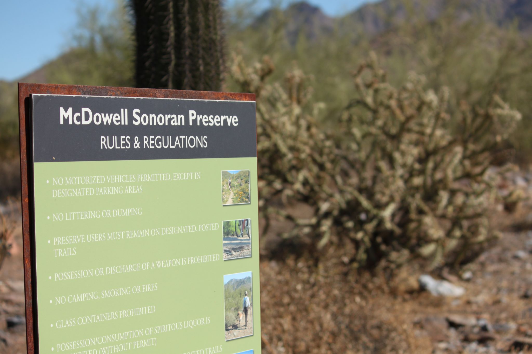 A close-up of a rules sign in a sunny desert landscape. - Lost Dog Wash and Ringtail Loop