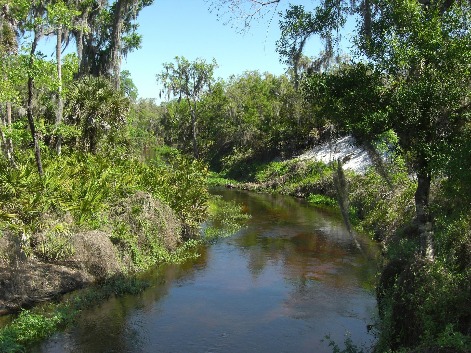 A narrow, calm river flows through dense green tropical vegetation under a clear sky.