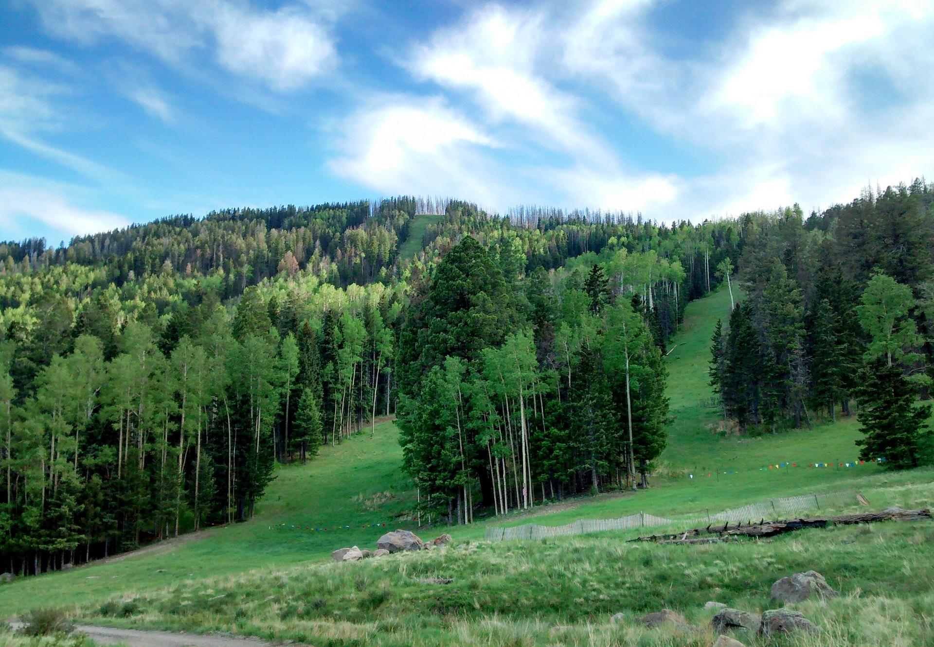 Green forested mountain slopes under a bright blue sky with white clouds.