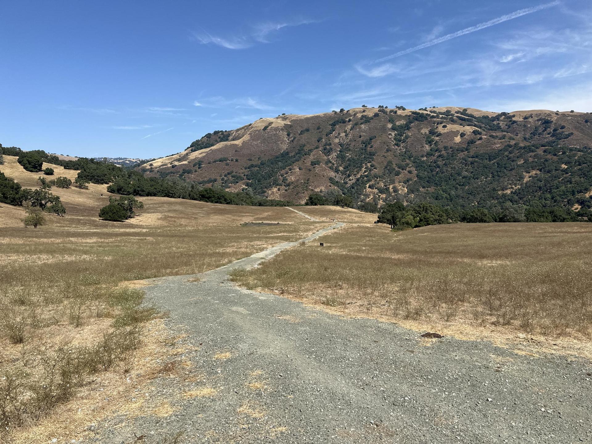 Gravel path winding through dry golden hills under a bright blue sky.