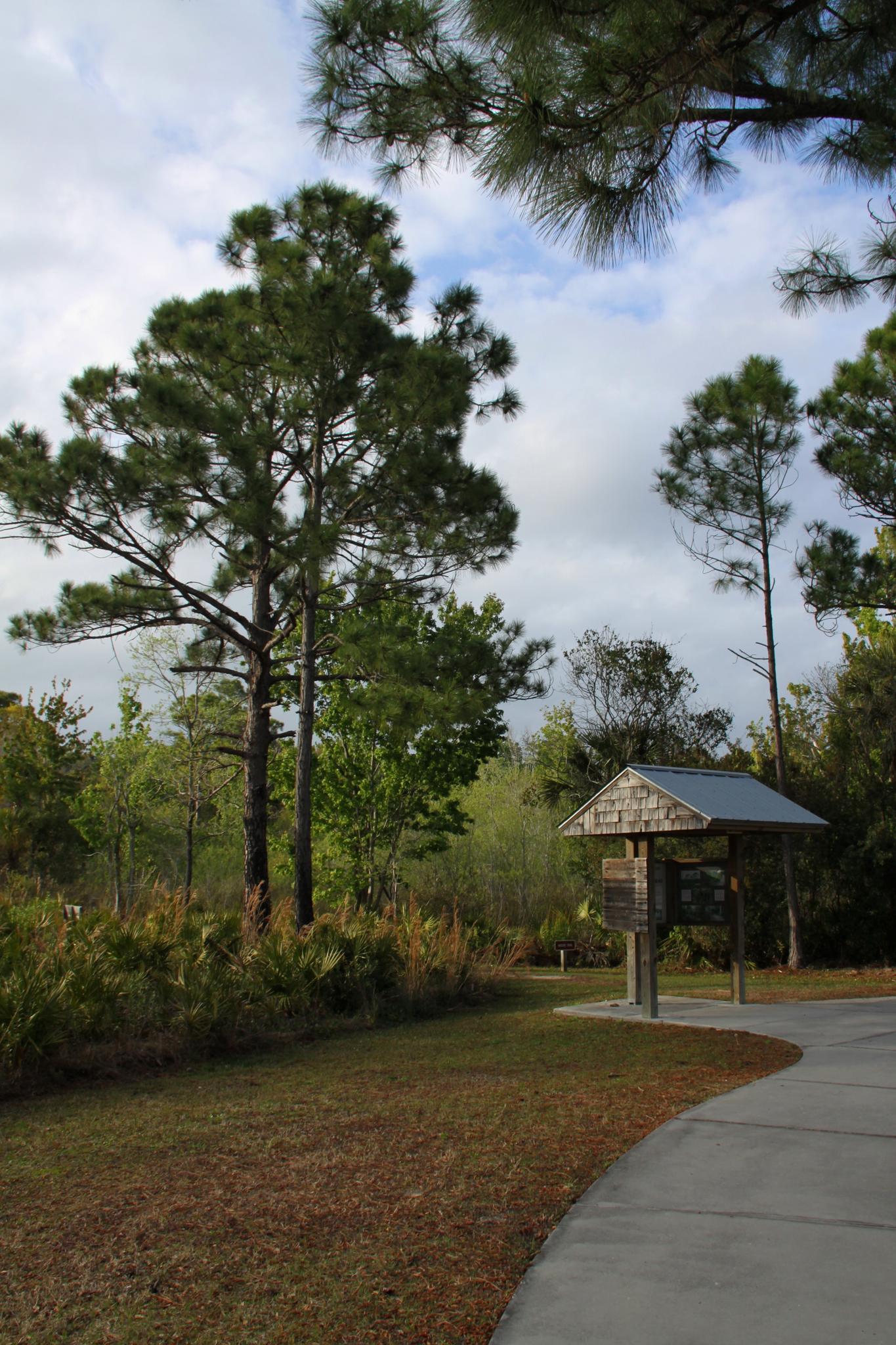 Covered information kiosk beside a paved path and tall pine trees.