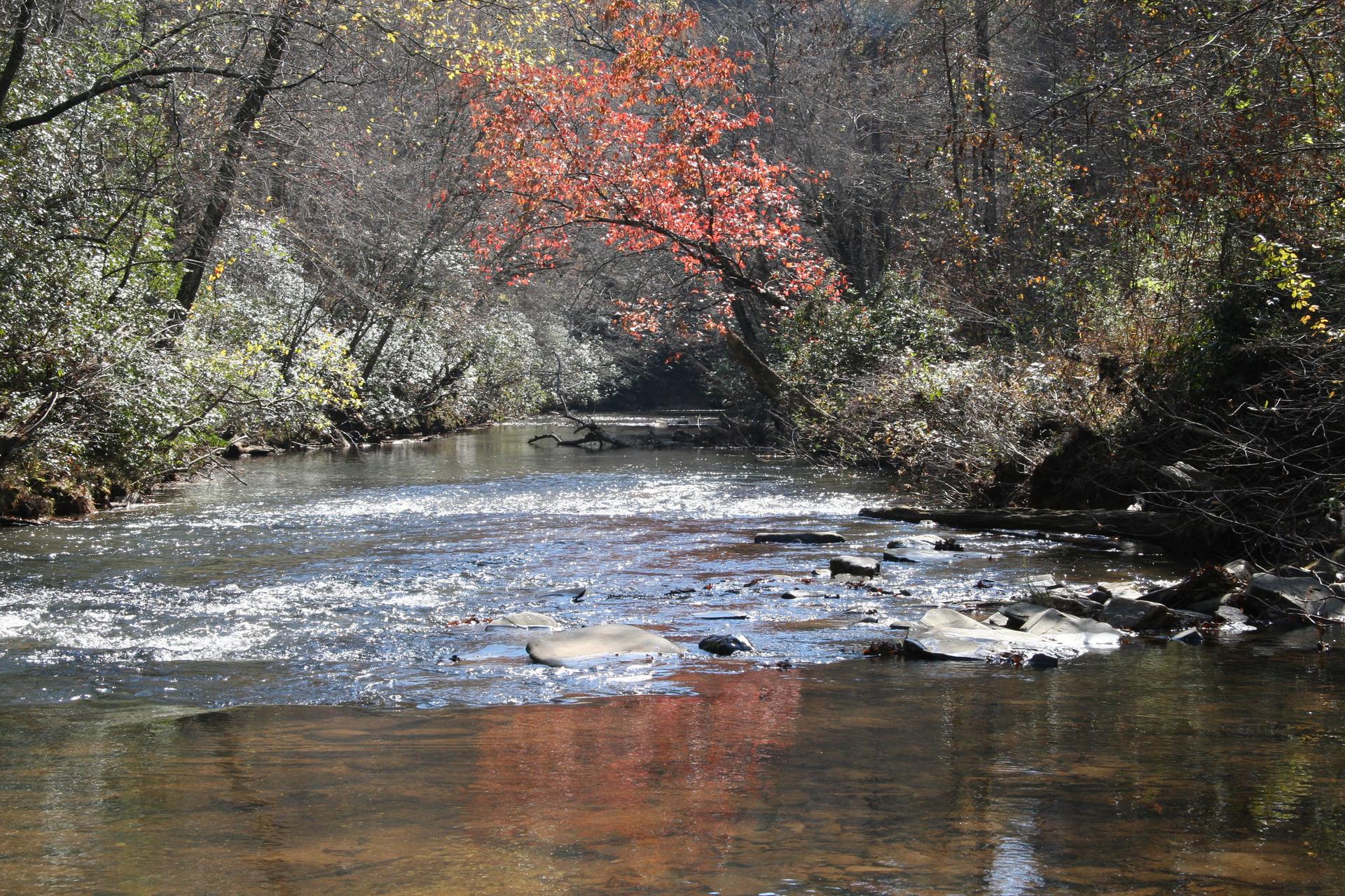A sunlit river flows through a forest with autumn trees and rocky banks.