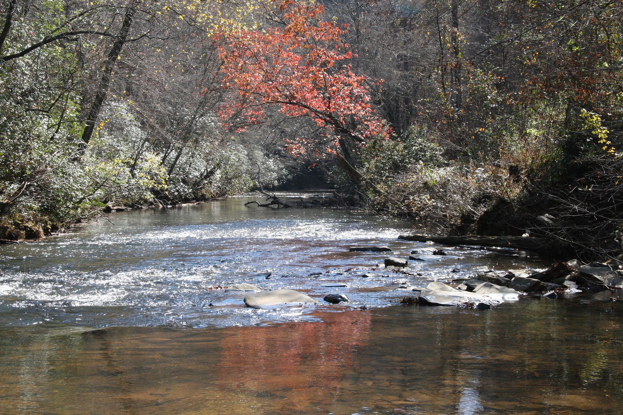 A sunlit river flows through a forest with autumn trees and rocky banks. - Dawsonville to Dawson Forest Wildlife Management Area loop