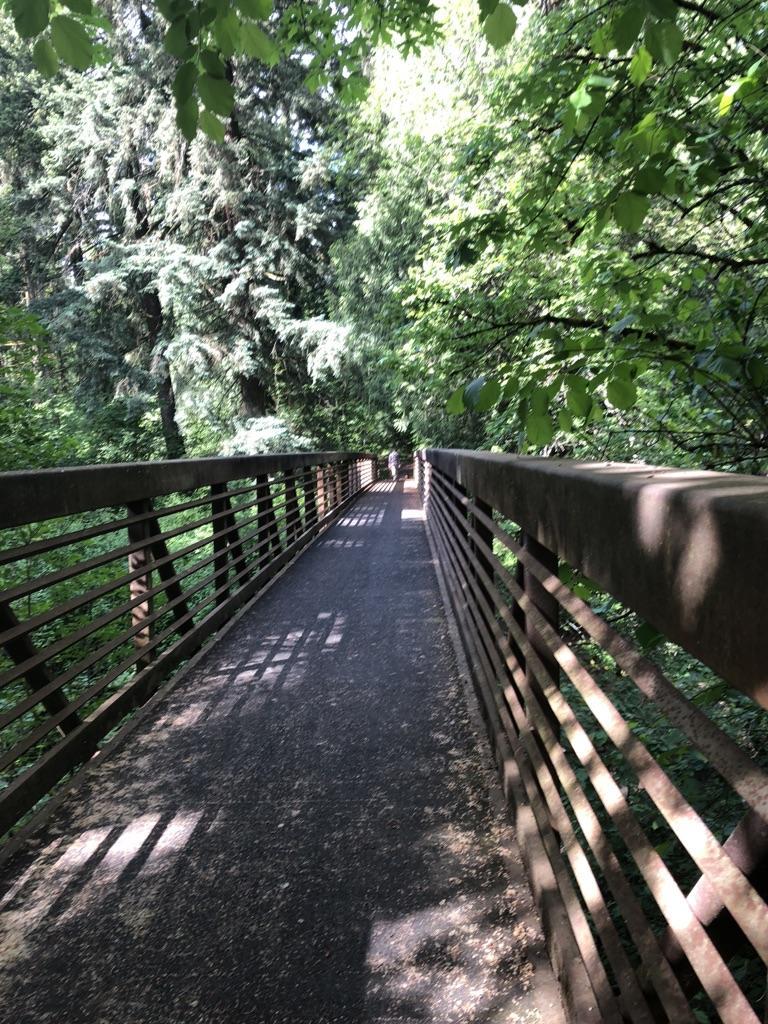 Long metal bridge through lush green forest with dappled sunlight, person walking.