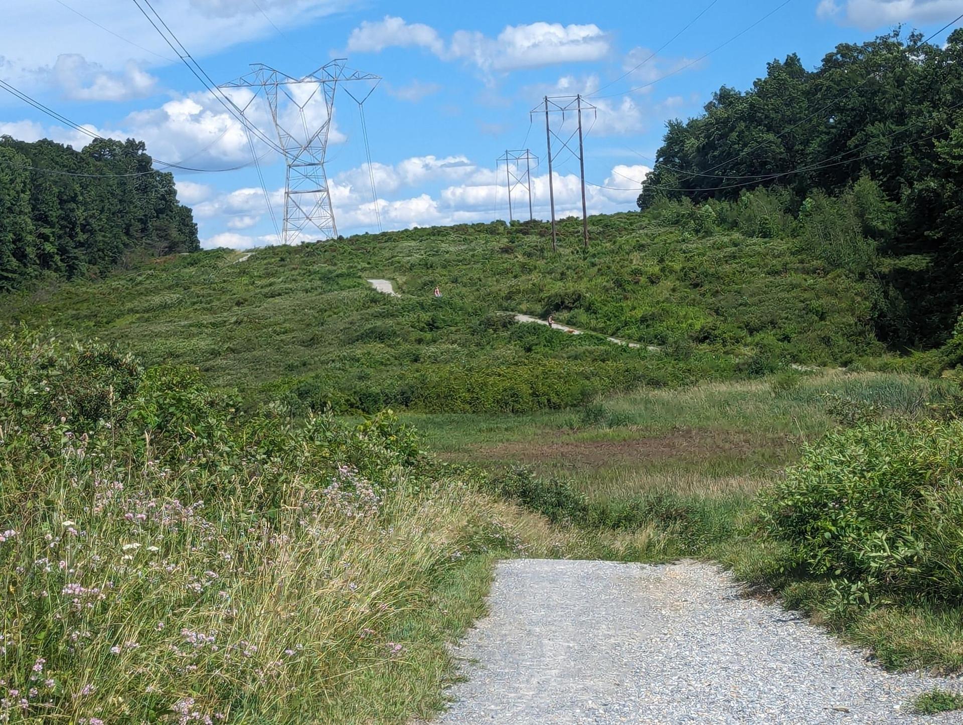 Gravel path ascends a grassy hill with power lines under a bright sky.