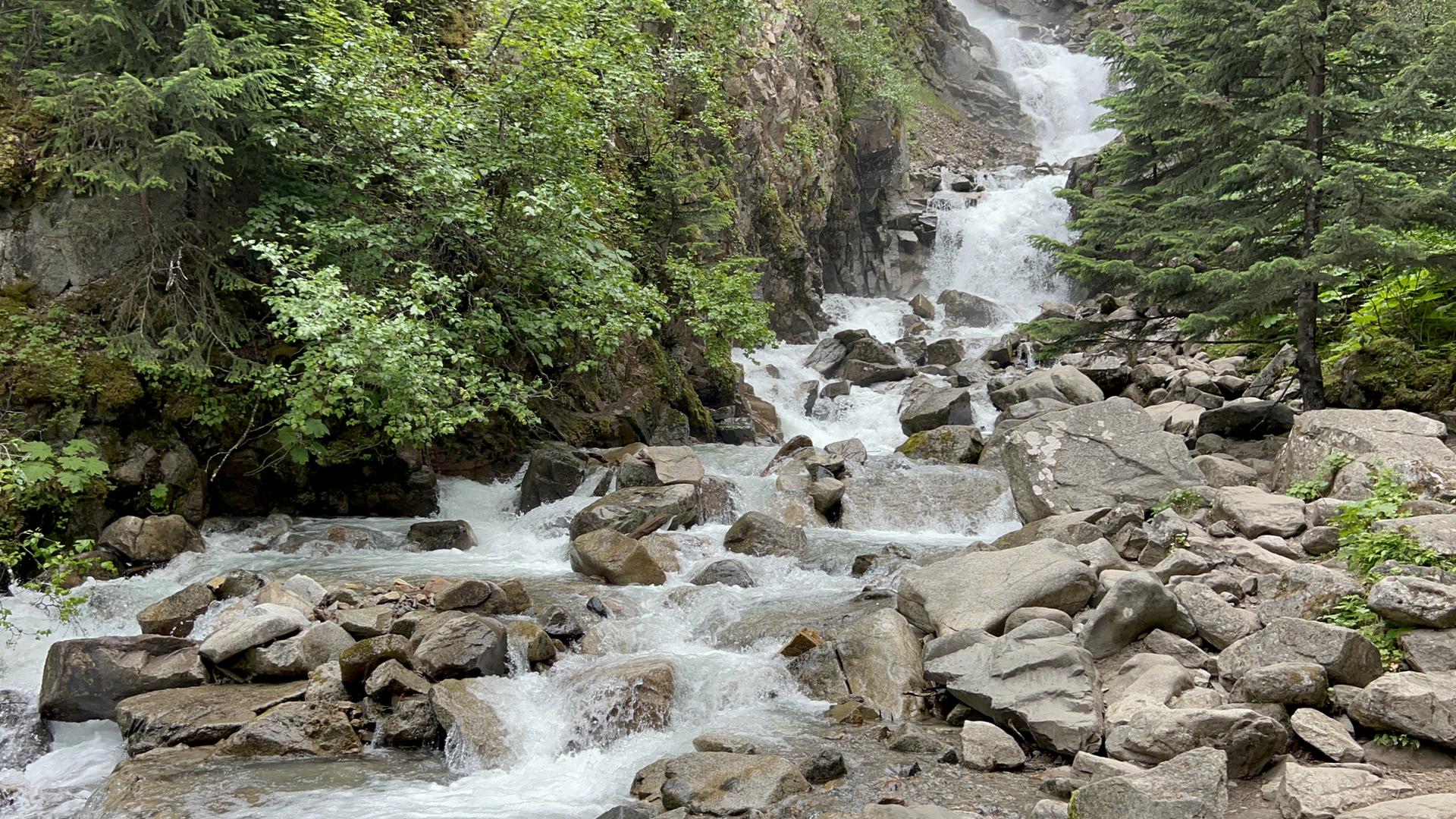 A powerful waterfall cascades down a rocky, forested slope in bright daylight.