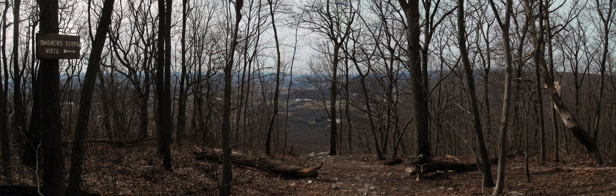 Bare forest with a distant valley view under an overcast sky. - Round Head via Appalachian Trail