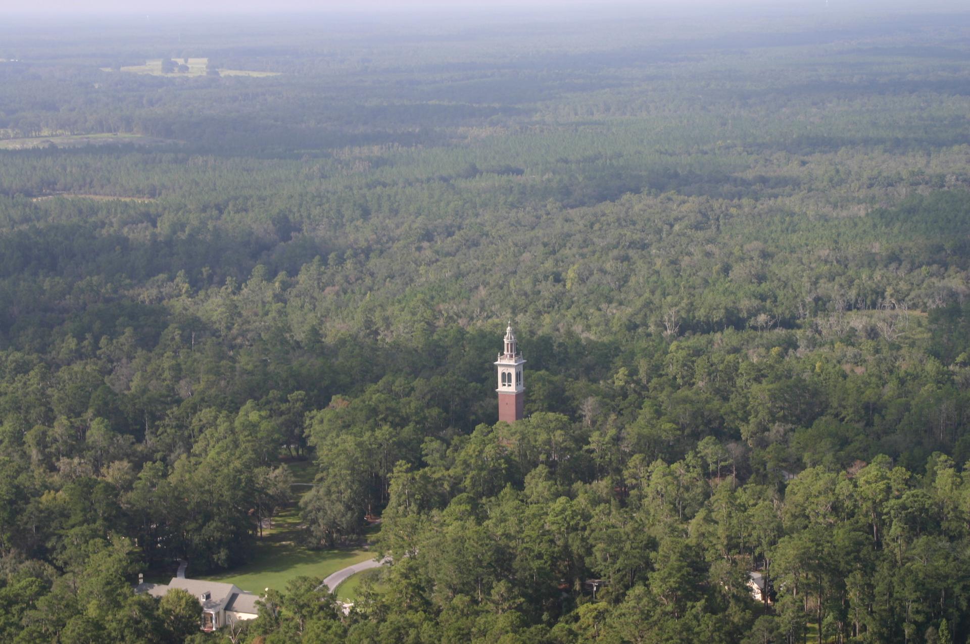 Aerial view of a tall tower rising from a dense green forest.