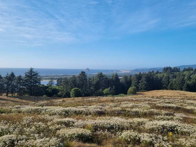 Two Rivers Trail loop — Nestucca Bay National Wildlife Refuge | hike ...