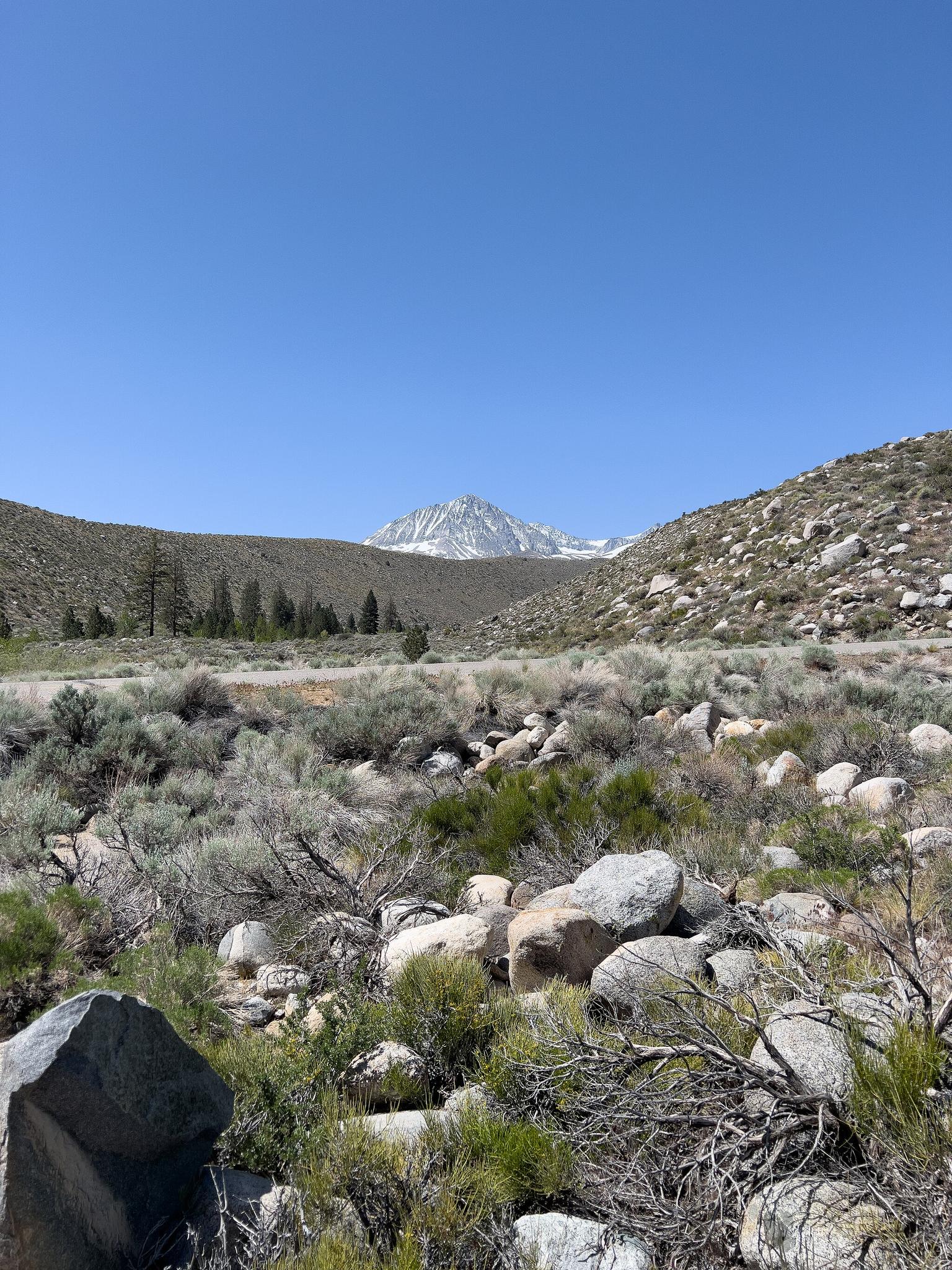 A sunny mountain valley with rocky terrain, sparse bushes, and a distant snow-capped peak.