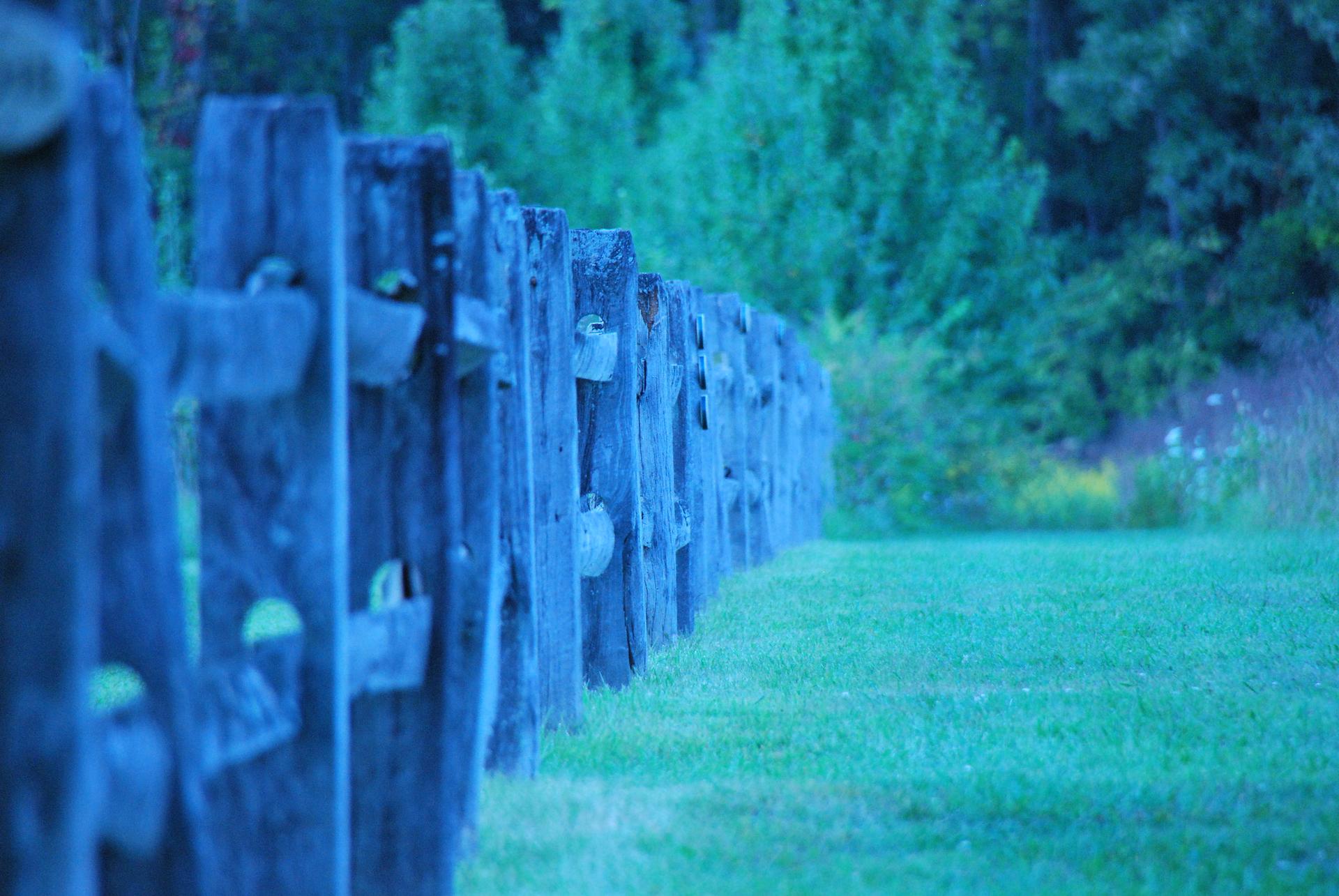 Weathered wooden fence in cool blue light next to a grassy field.