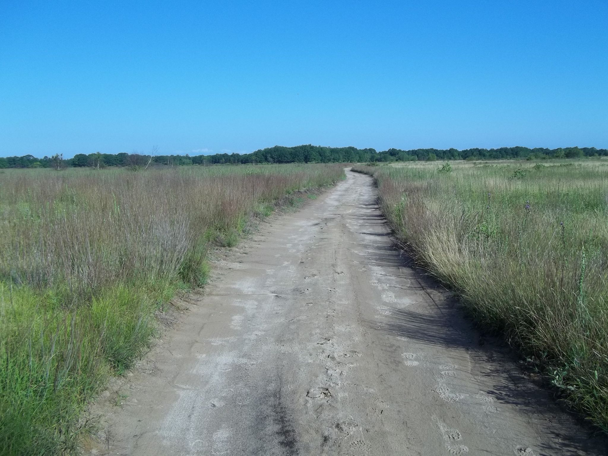 A dirt road winds through a sunny grassy field under a clear blue sky. - South Sanford to Webber Hill Road
