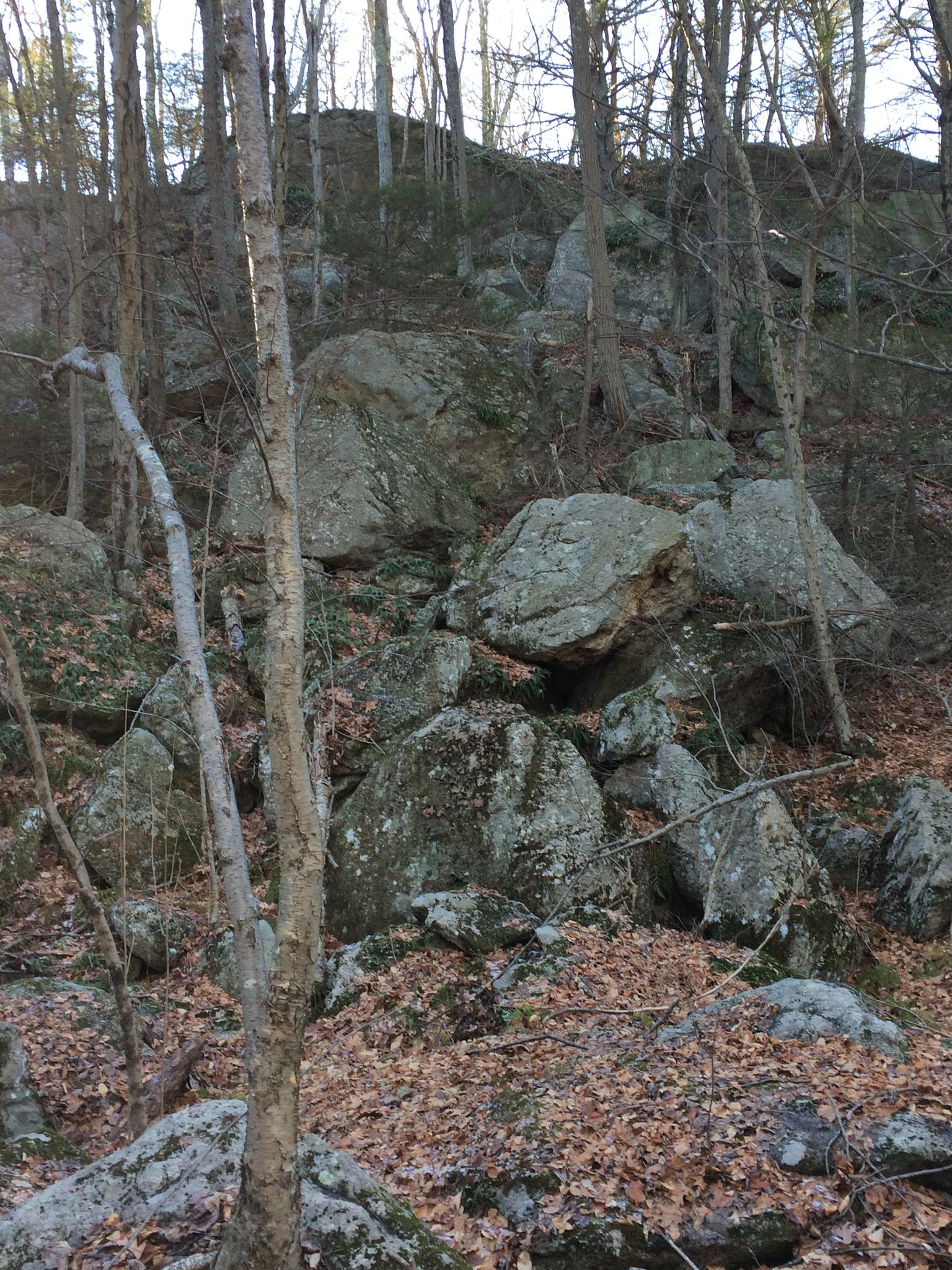 A rocky hillside covered in large boulders, bare trees, and fallen leaves under soft light.
