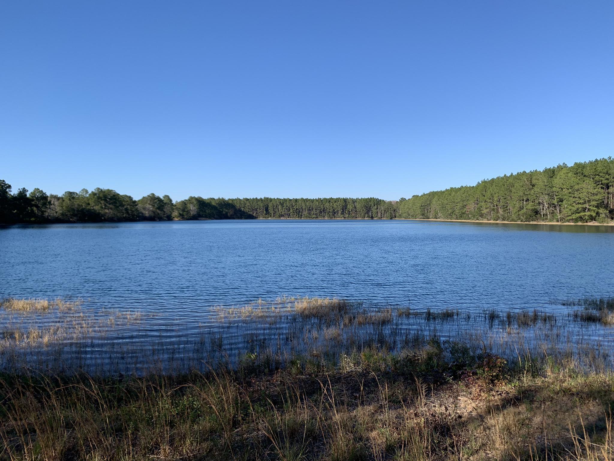 A wide, calm lake under a clear blue sky, bordered by green trees.