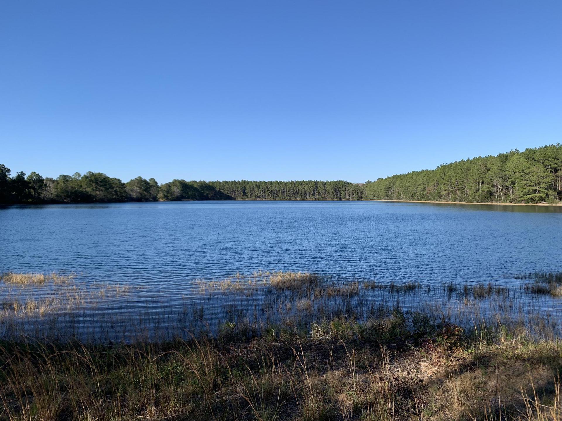 A wide, calm lake under a clear blue sky, bordered by green trees.