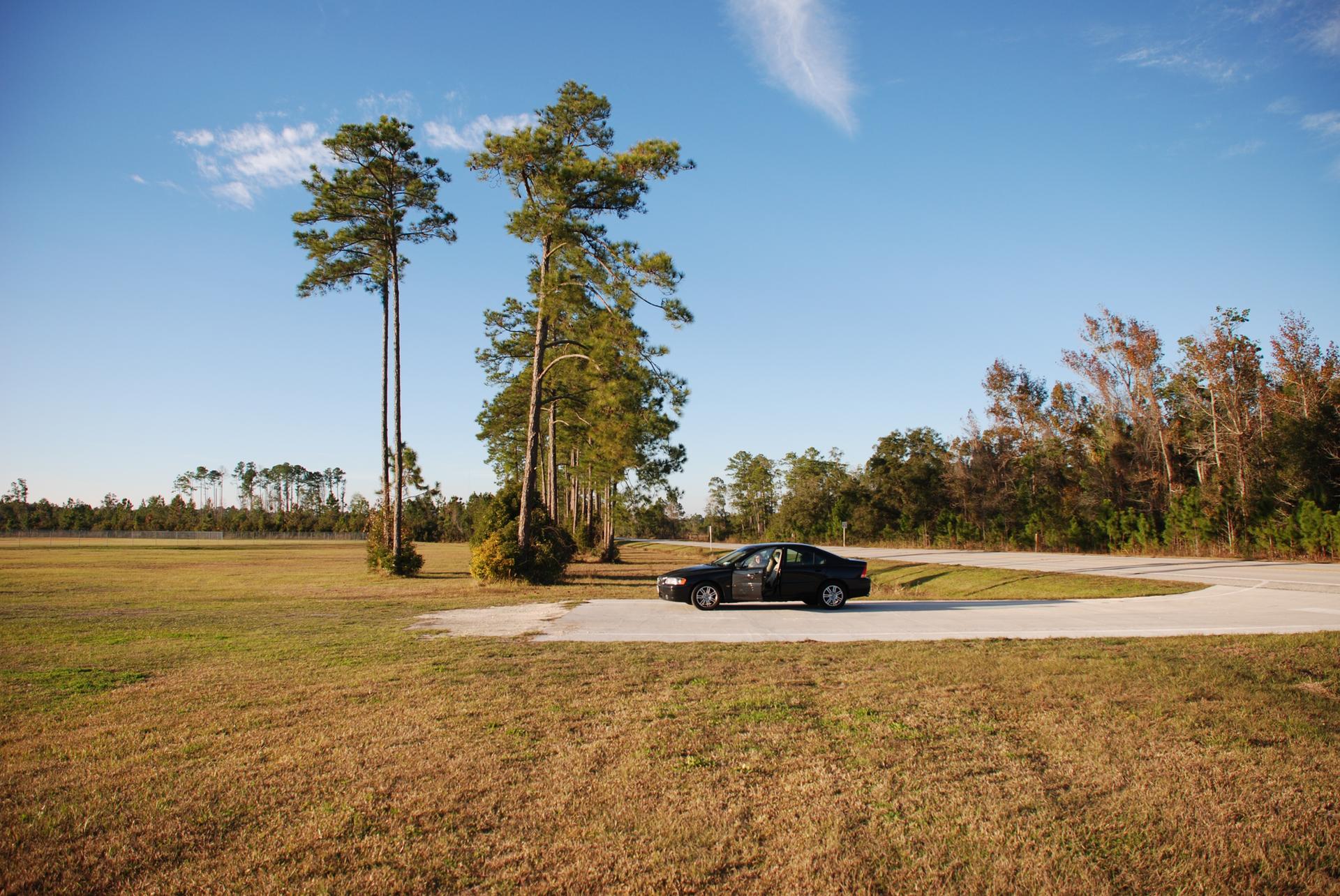 Black car parked on a paved road beside tall pine trees in a sunny field.