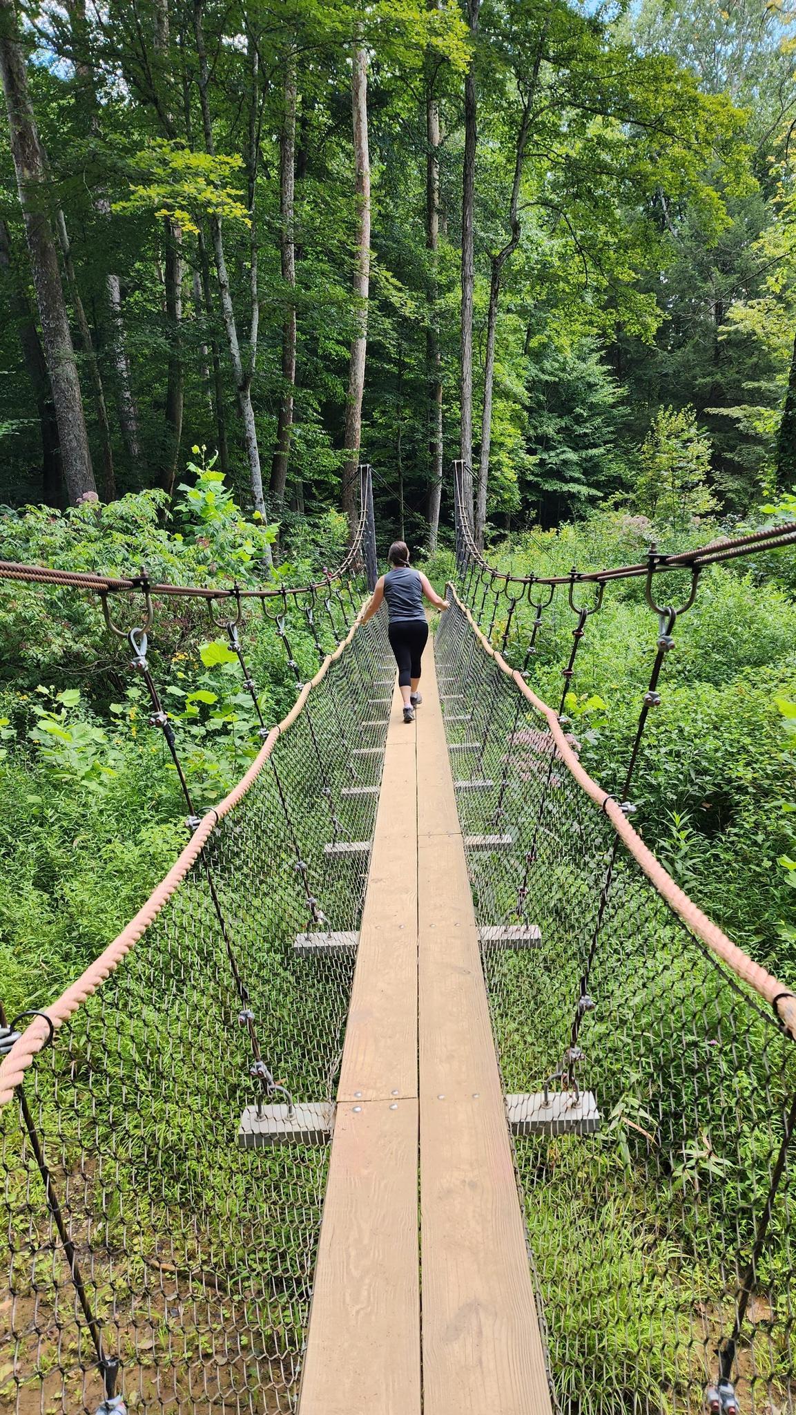 Person walks across a long wooden suspension bridge through a dense green forest.