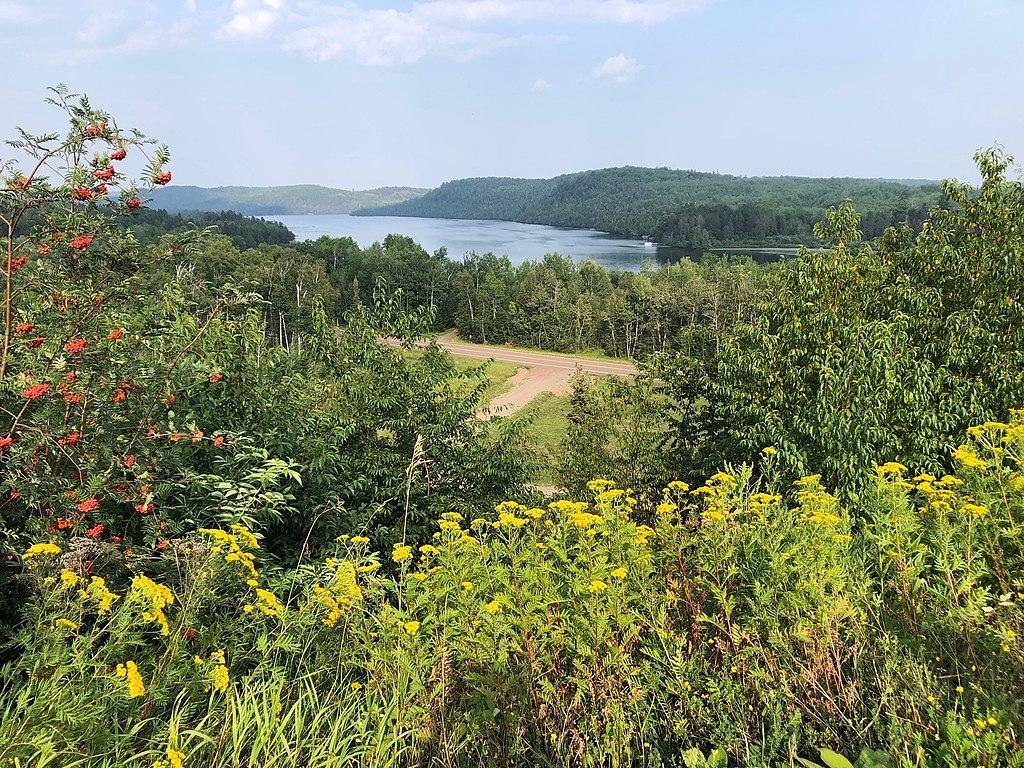 A scenic view of a lake surrounded by forests, with yellow wildflowers in foreground.