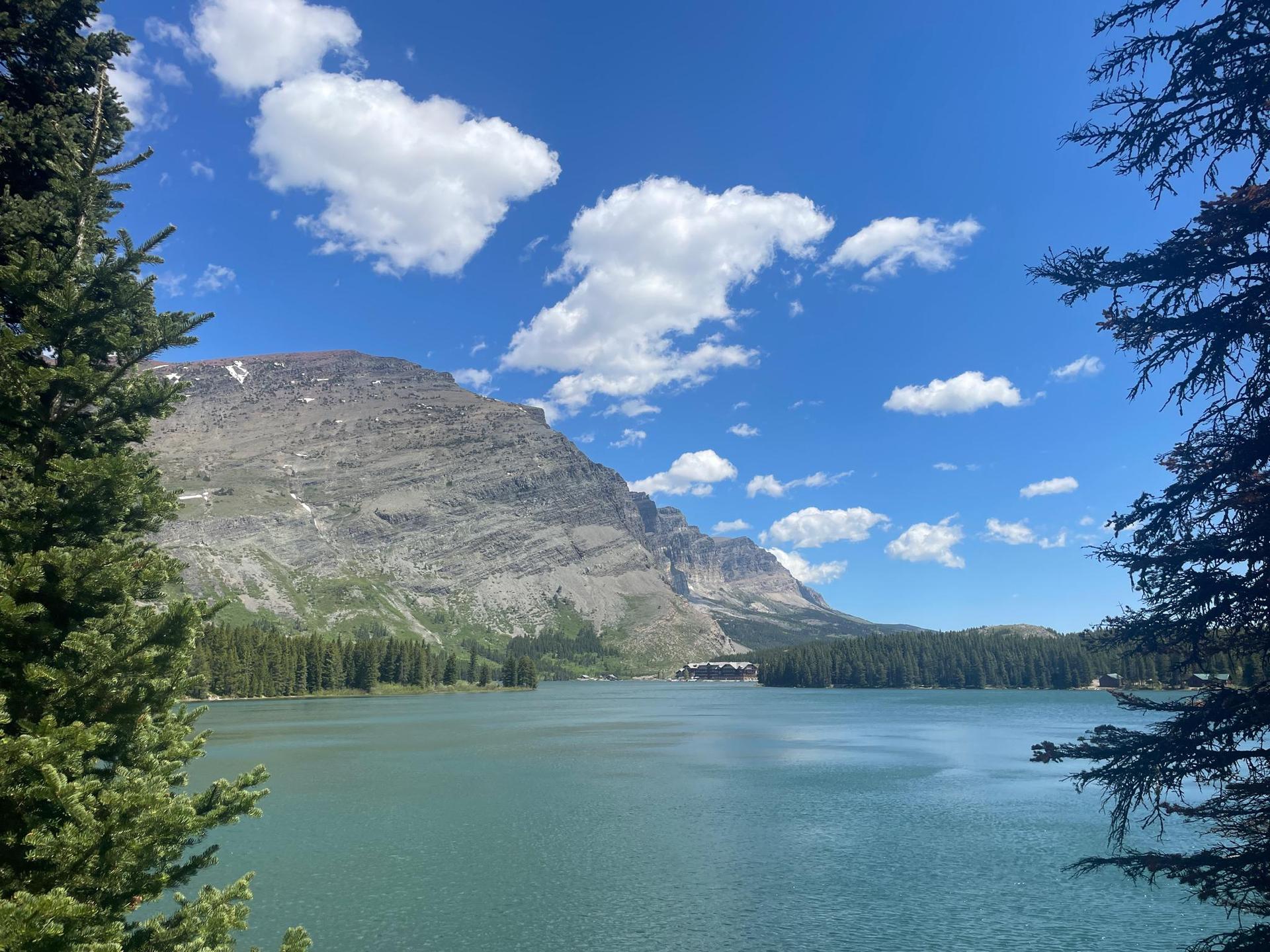 A wide lake with distant mountains and pine trees under a bright blue sky.