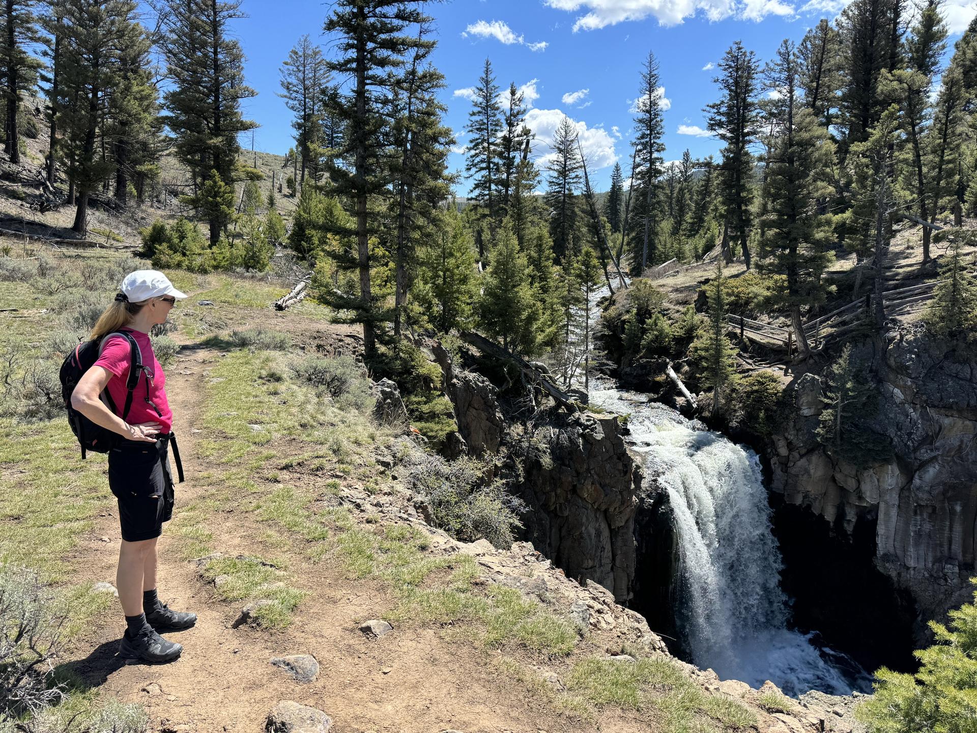 Hiker in pink shirt overlooking a powerful waterfall amidst pine trees.