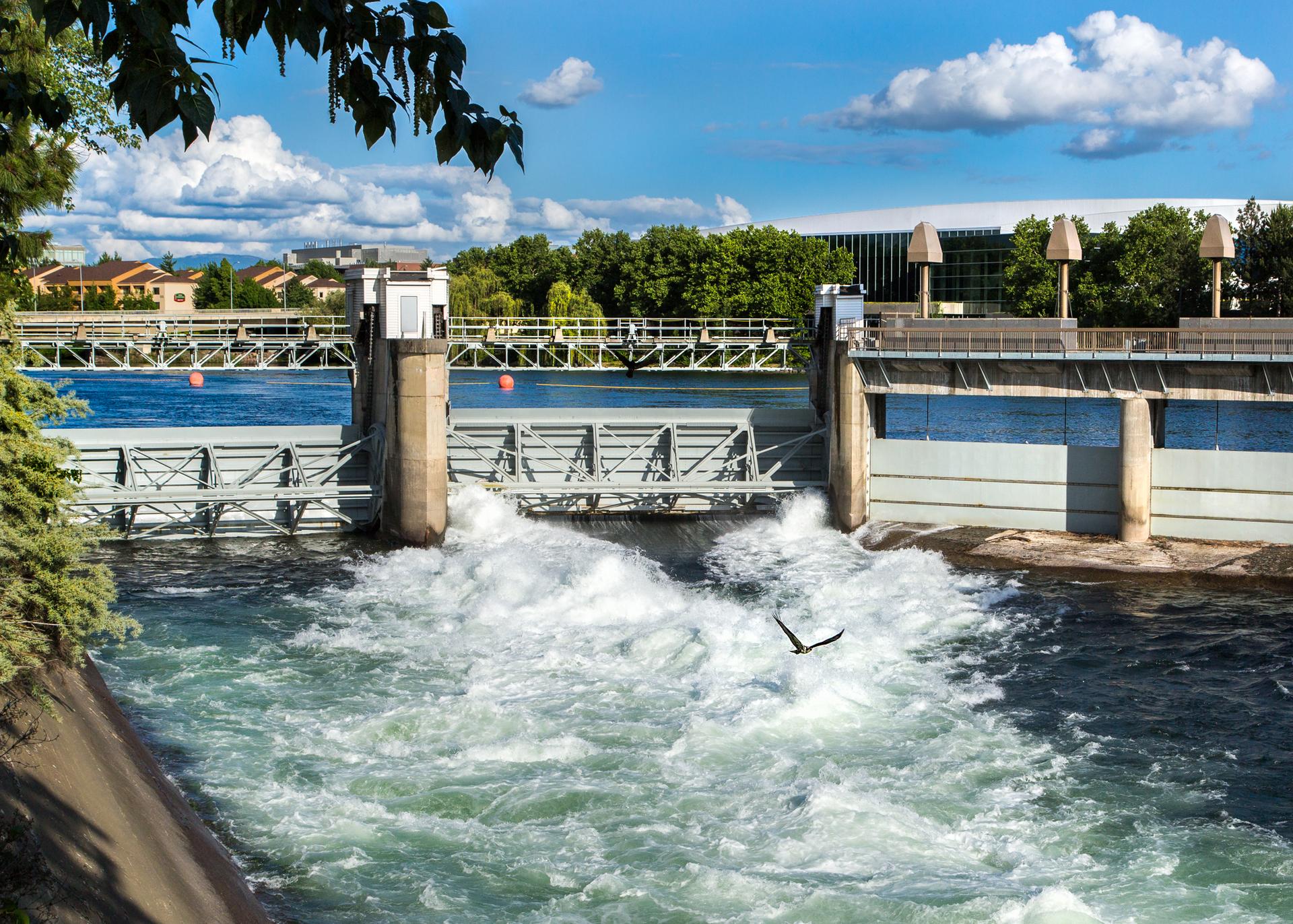 Water rushing through a large dam with a bird flying, sunny day.
