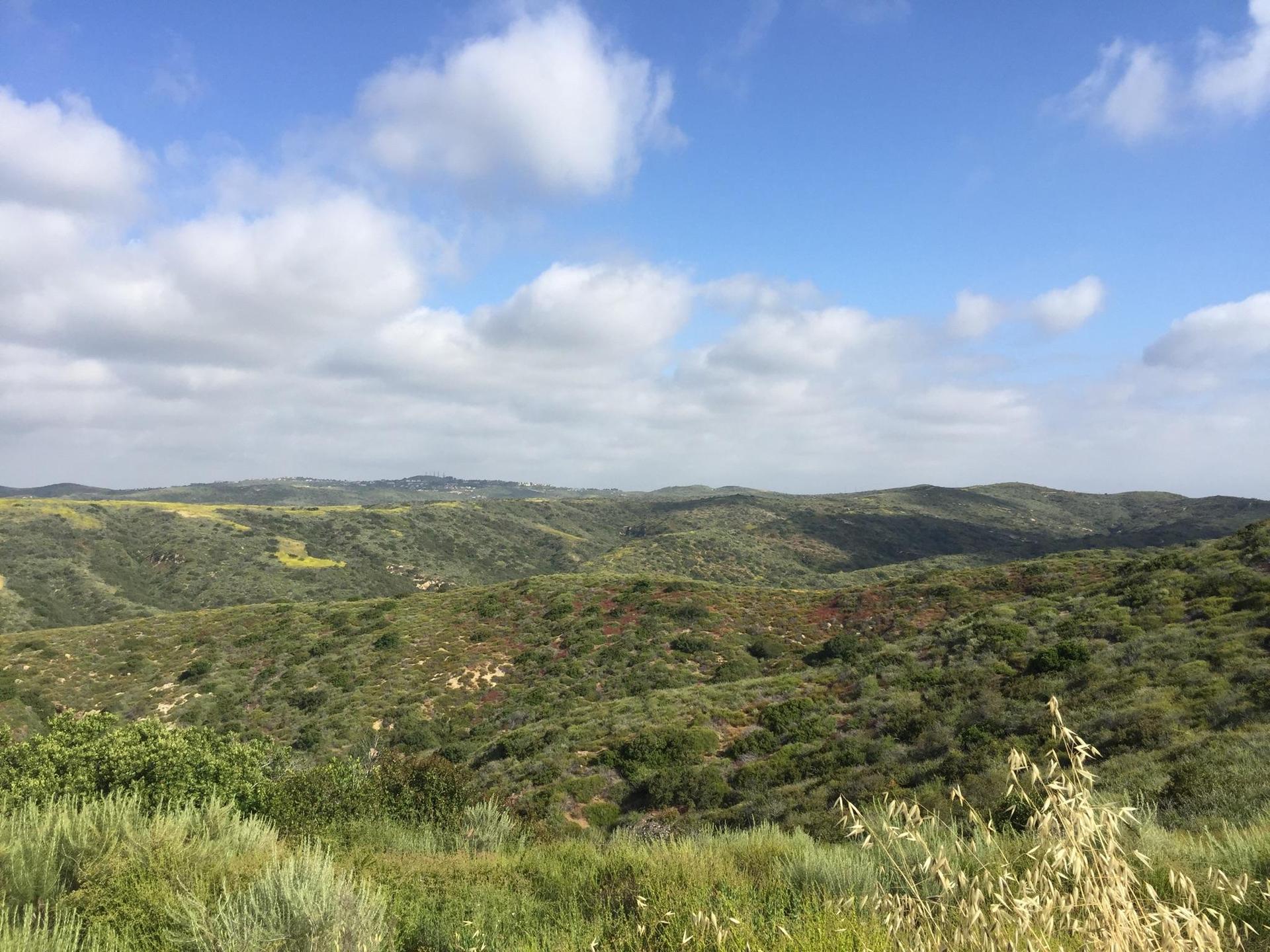Expansive view of green rolling hills under a partly cloudy sky.