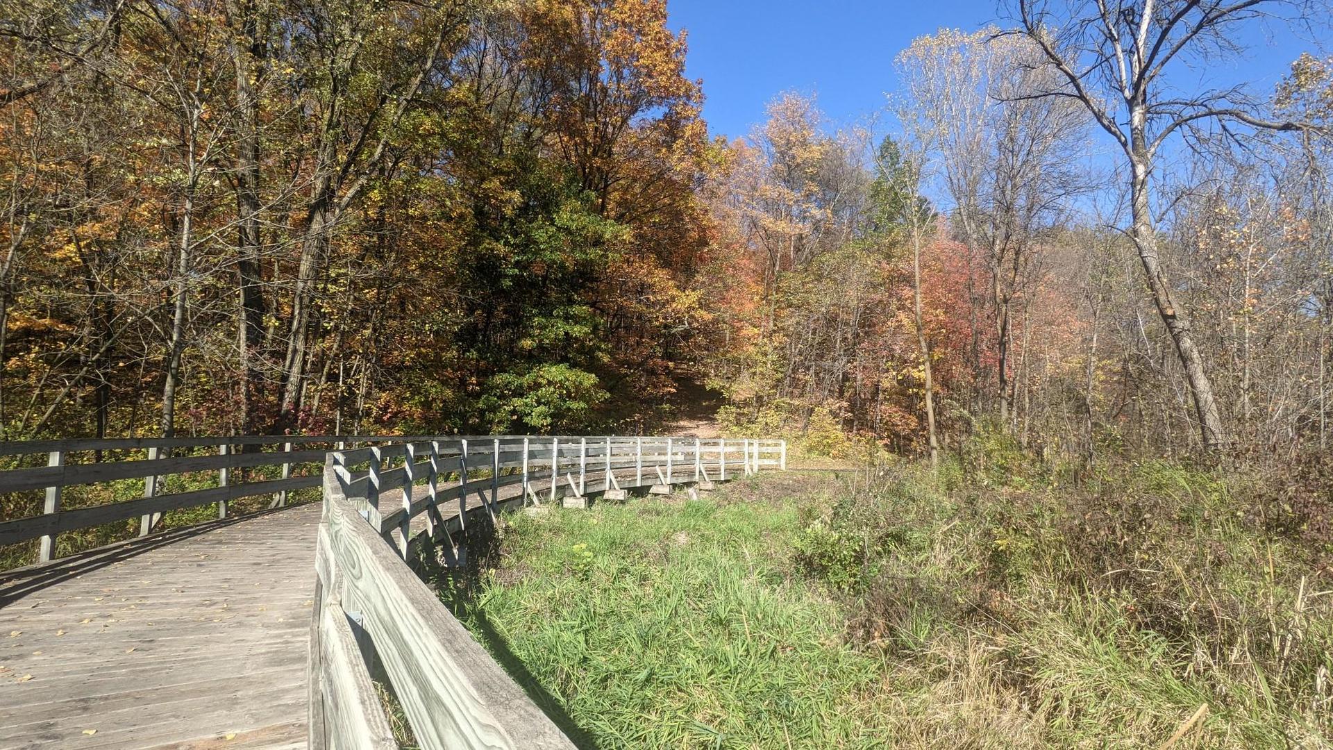 A wooden boardwalk curves through a landscape of colorful autumn trees under a bright blue sky.
