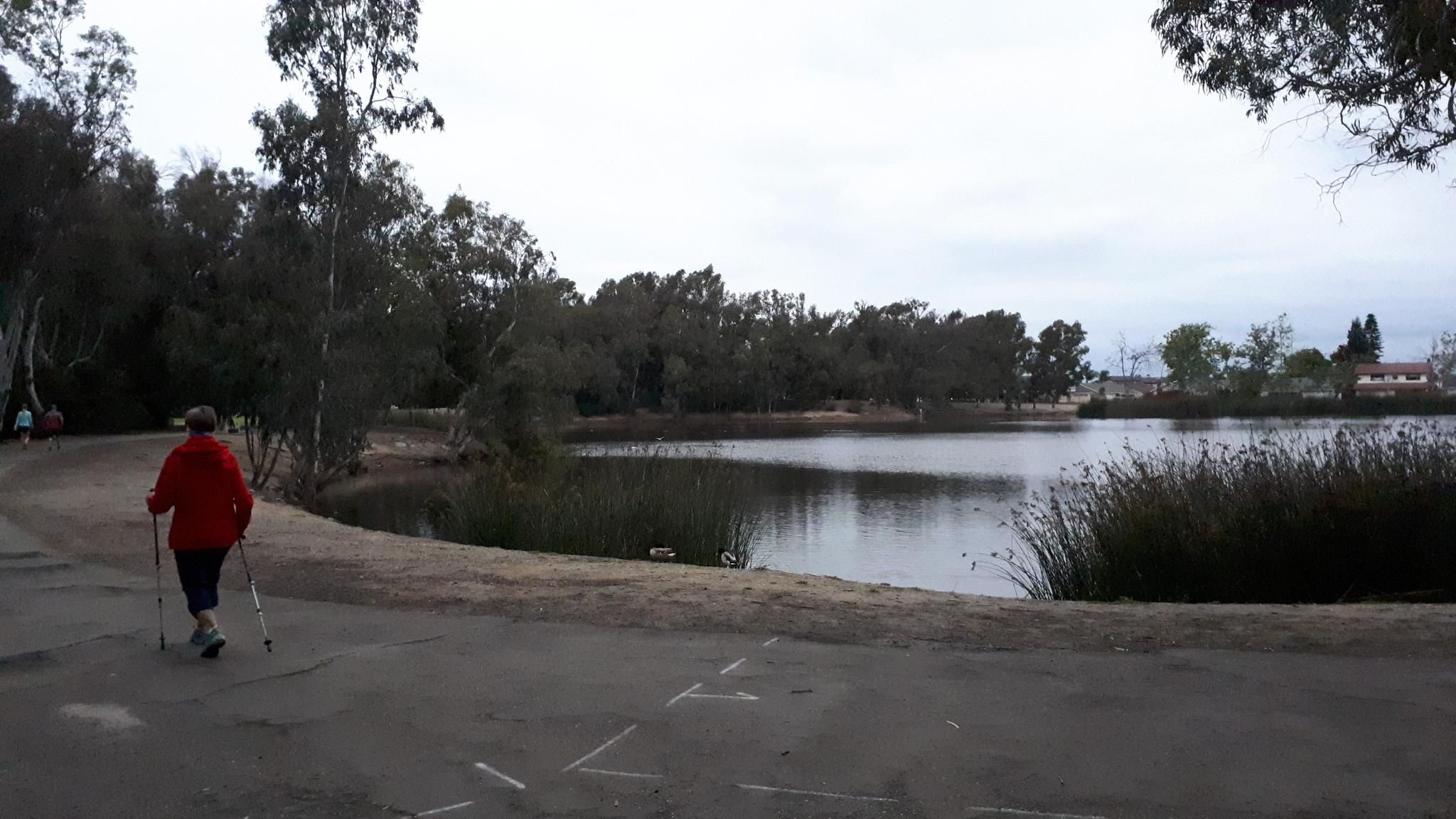 Person in red walks with poles beside a lake on an overcast day. - Lake Huntington Trail