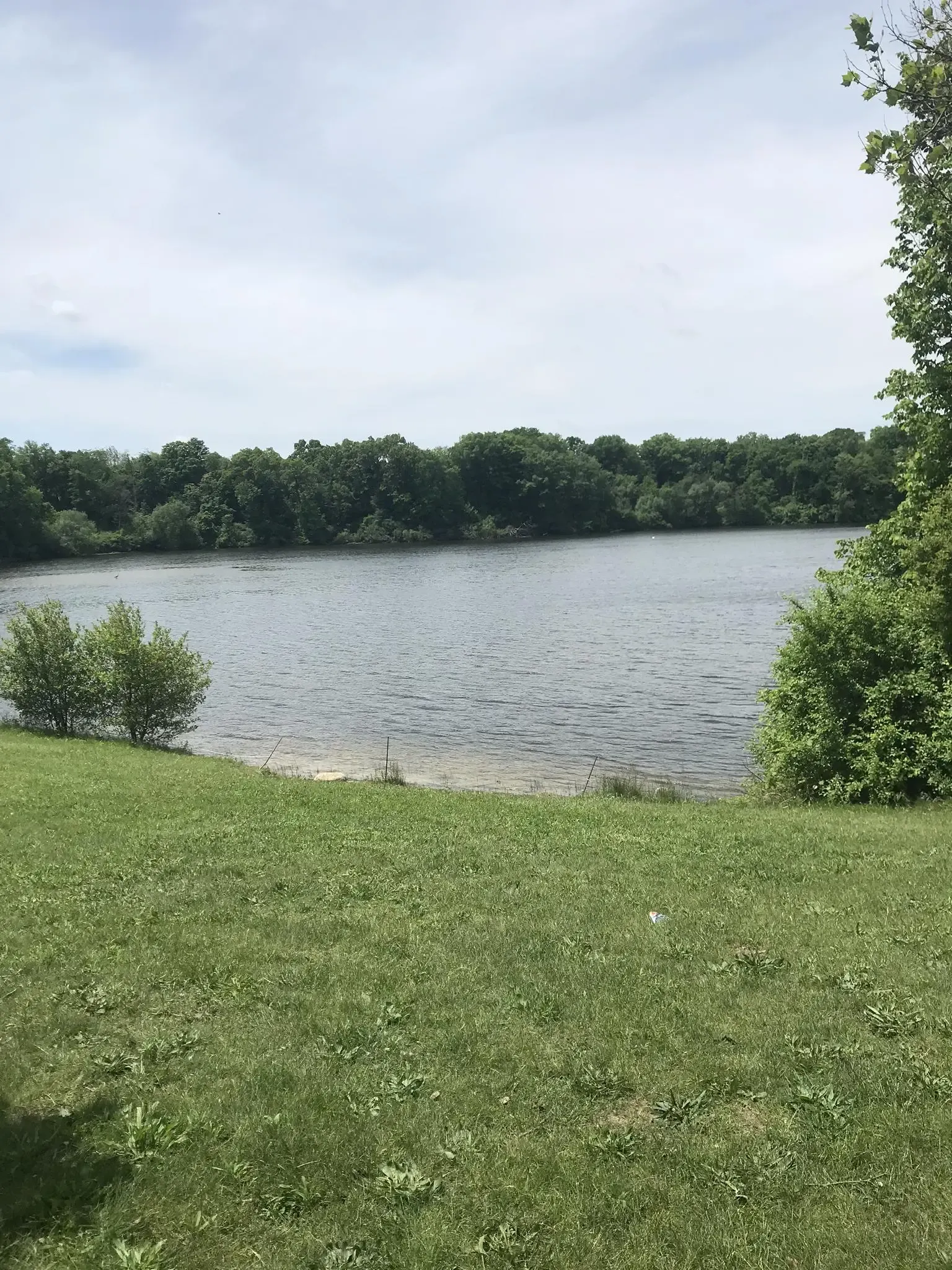 A calm lake with a grassy bank and distant trees under a cloudy sky. - Newburgh Lakeview Trail