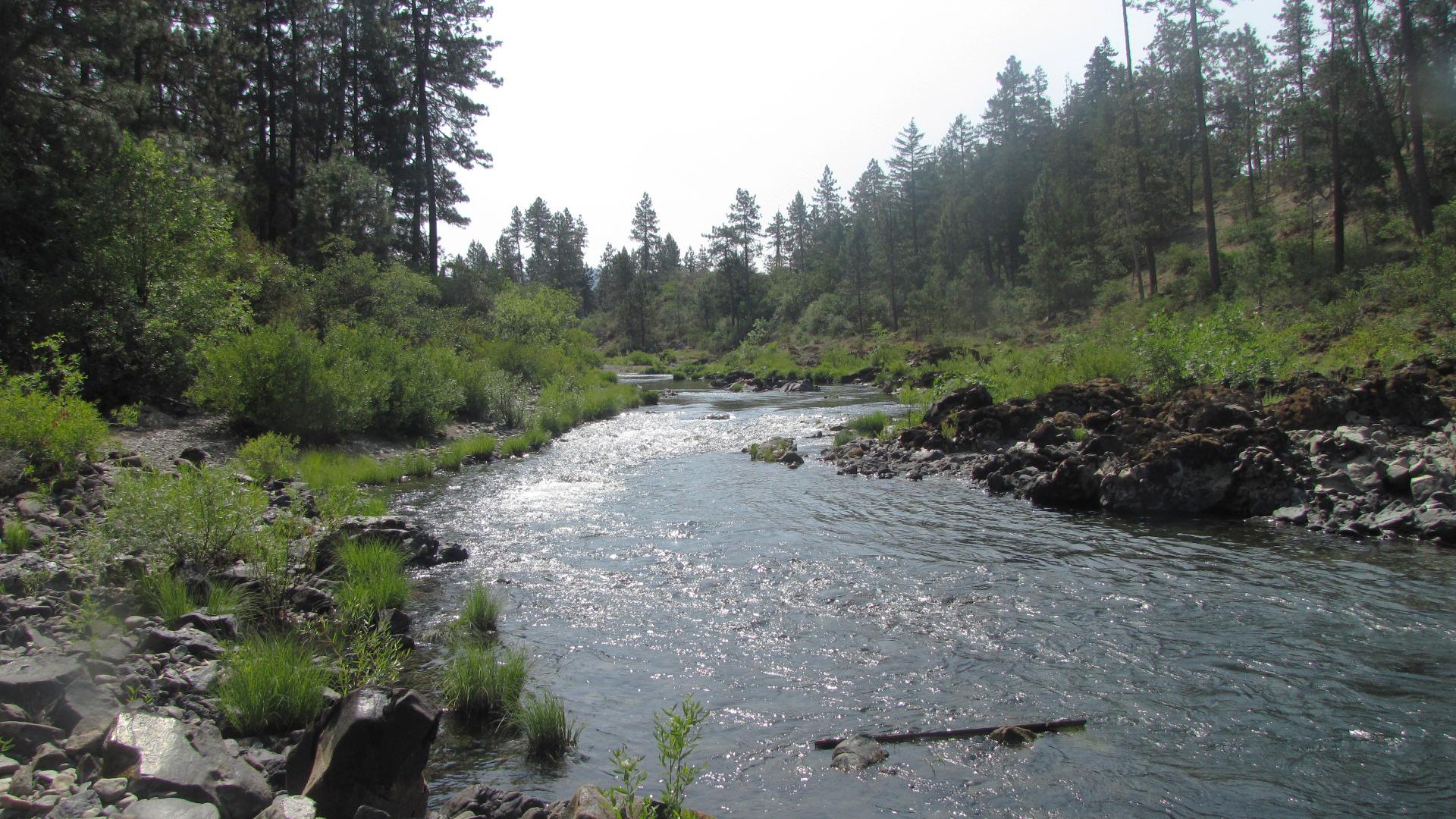 A clear river flows through a rocky, forested landscape under bright skies.