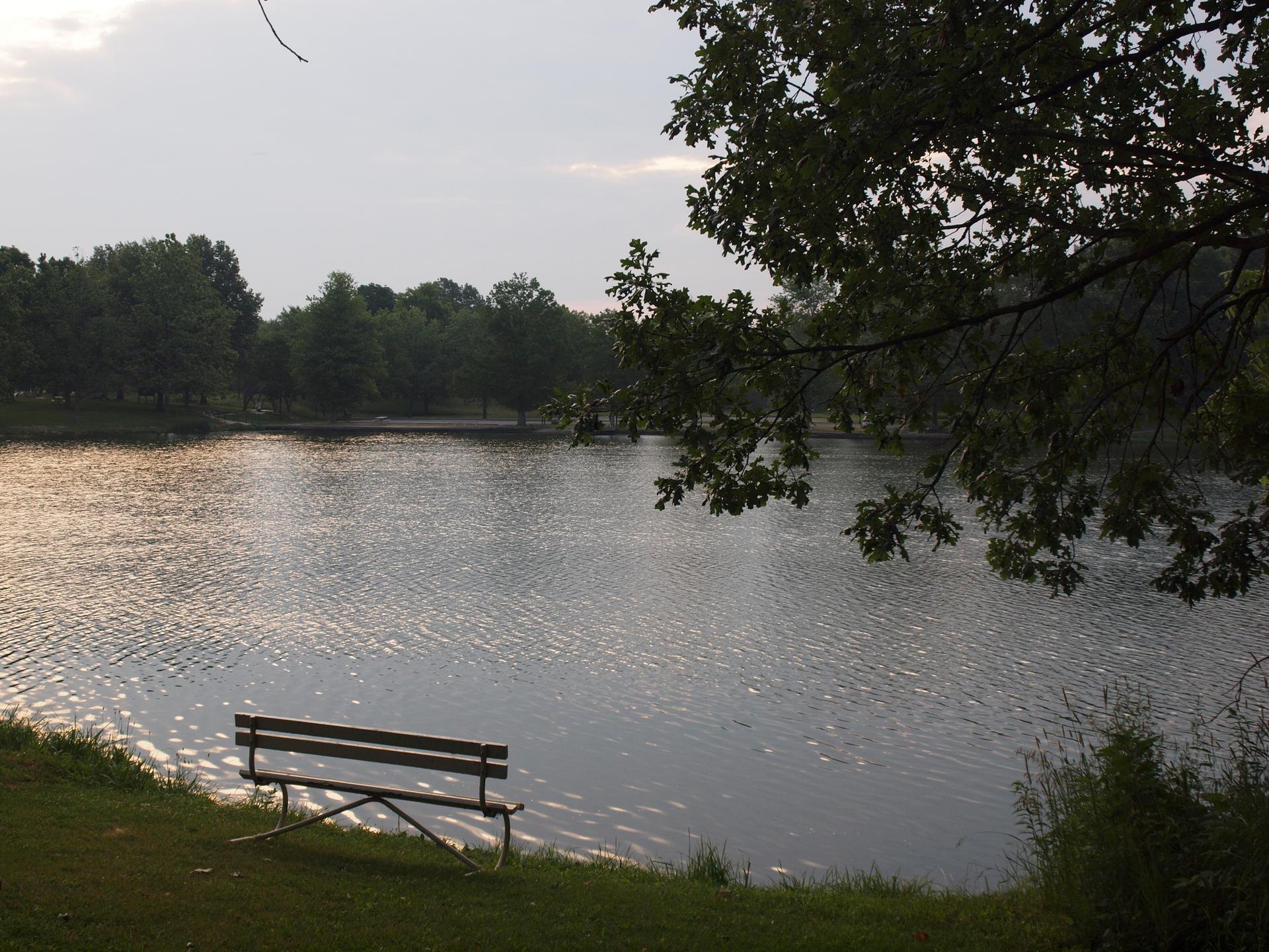 Empty wooden bench by a calm lake, surrounded by green trees.