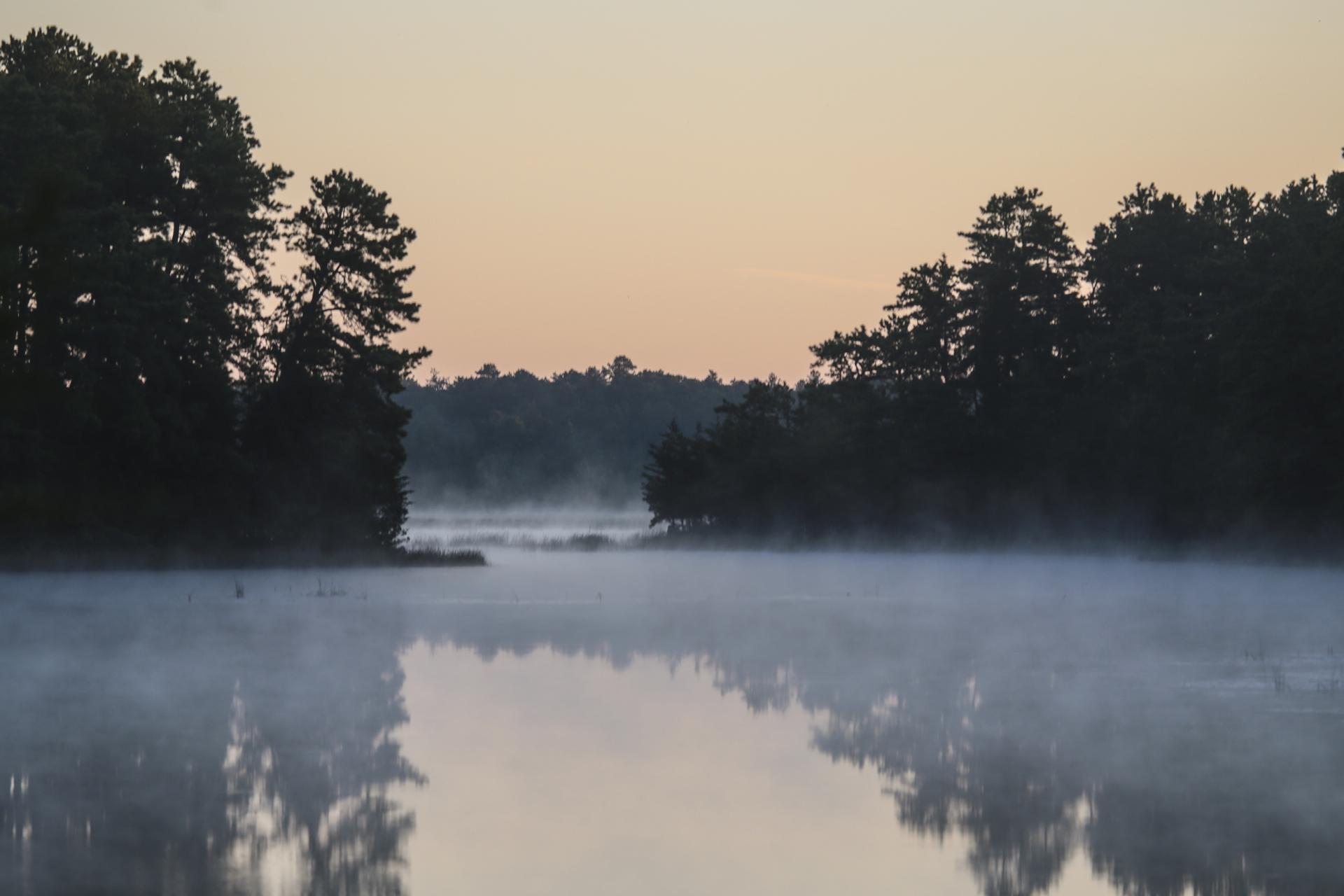 Misty lake at dawn, with silhouetted pine trees reflecting in water.