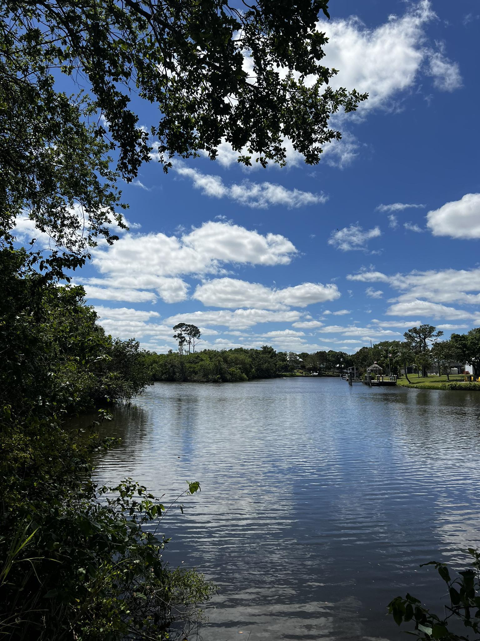 A calm river surrounded by lush green trees under a bright blue sky.