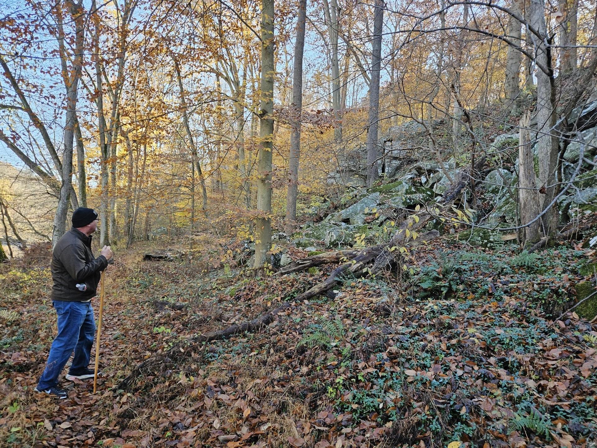 Man hiking with a stick on a rocky, autumn forest trail.