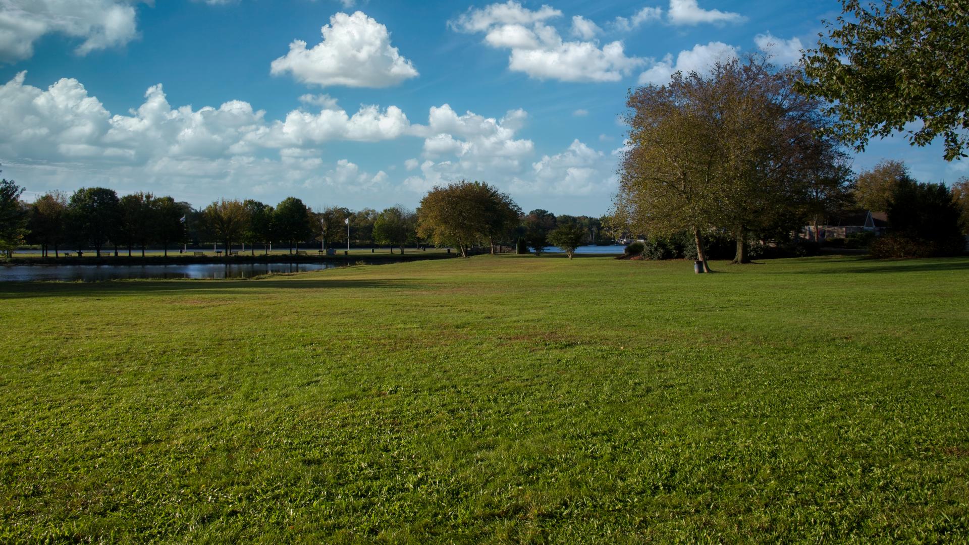 A wide green field under a bright blue sky with trees and a distant pond.