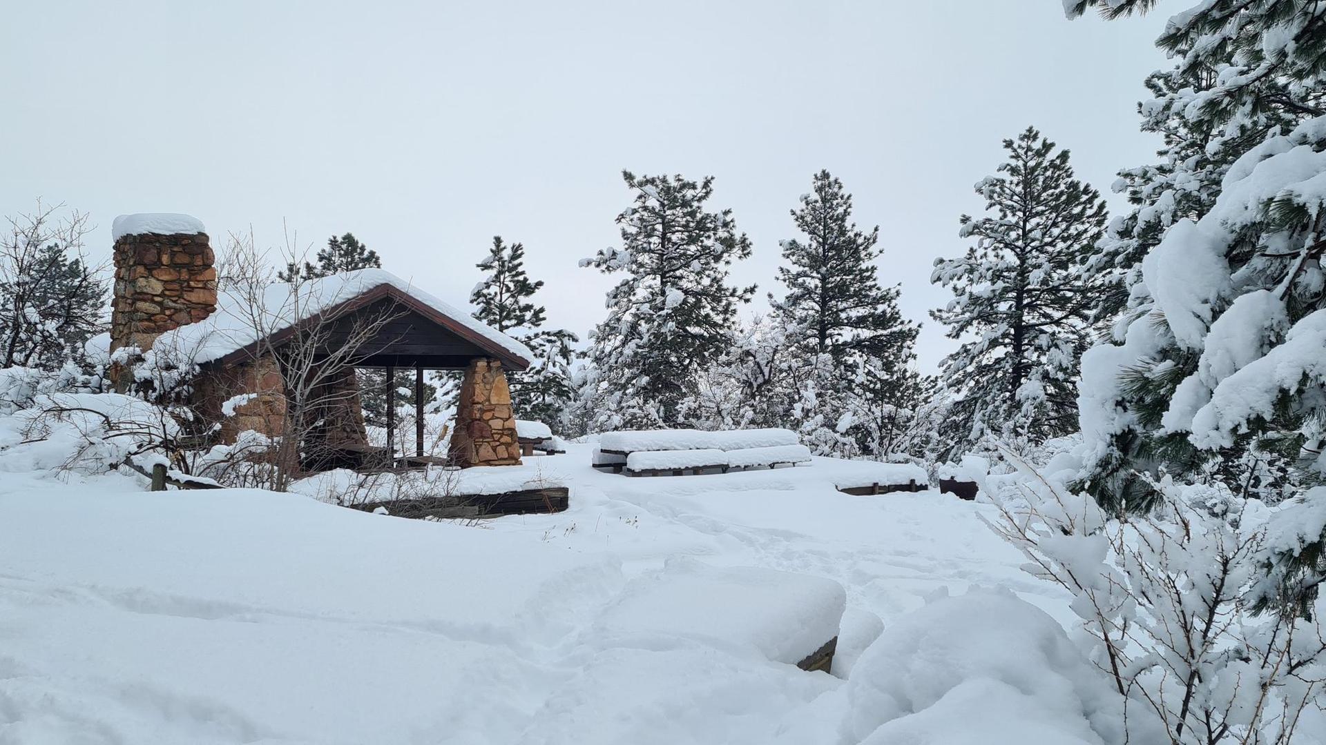 Snow-covered stone shelter surrounded by pine trees on a winter day.