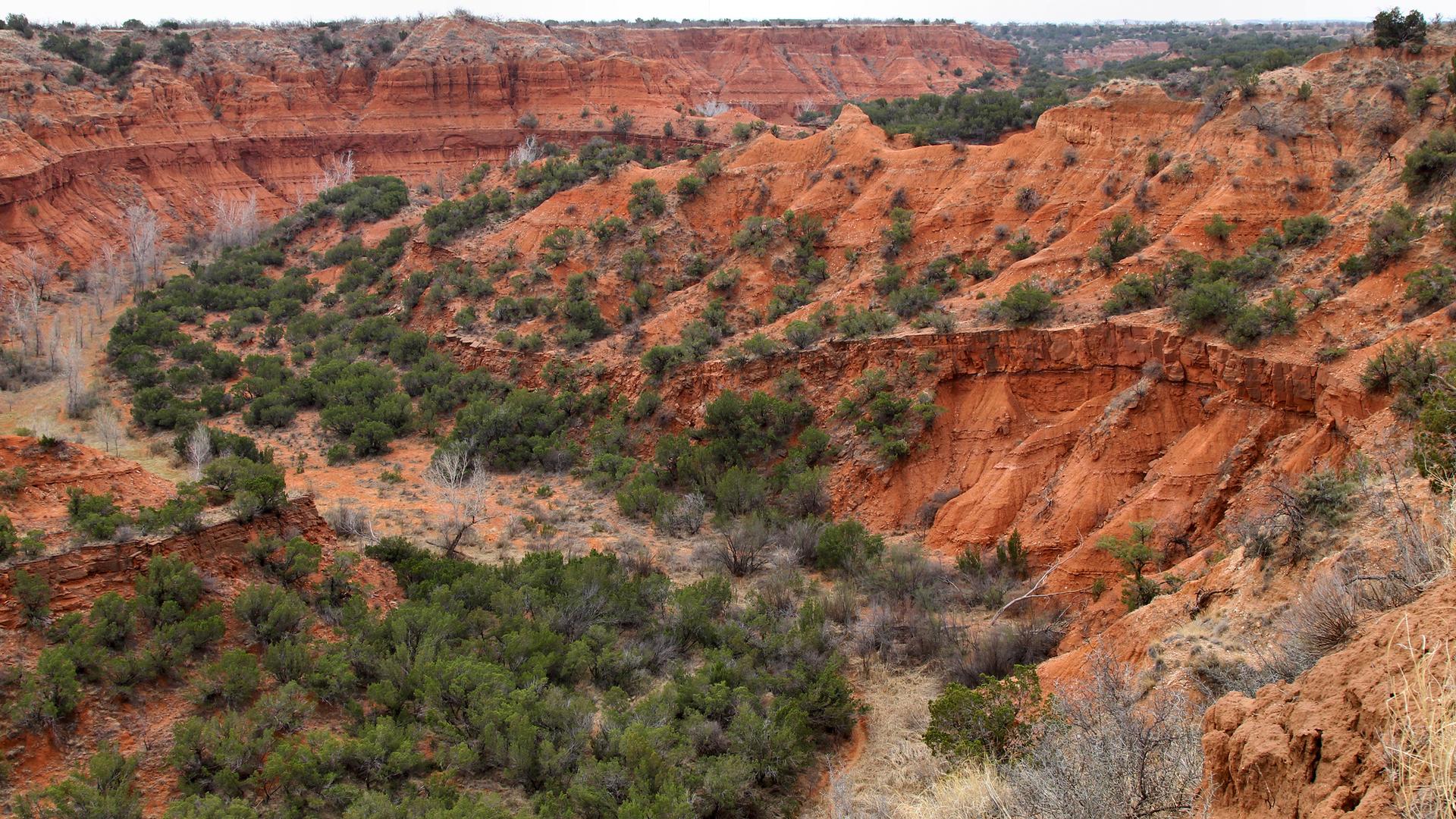 Expansive red rock canyon with green shrubs under an overcast sky.