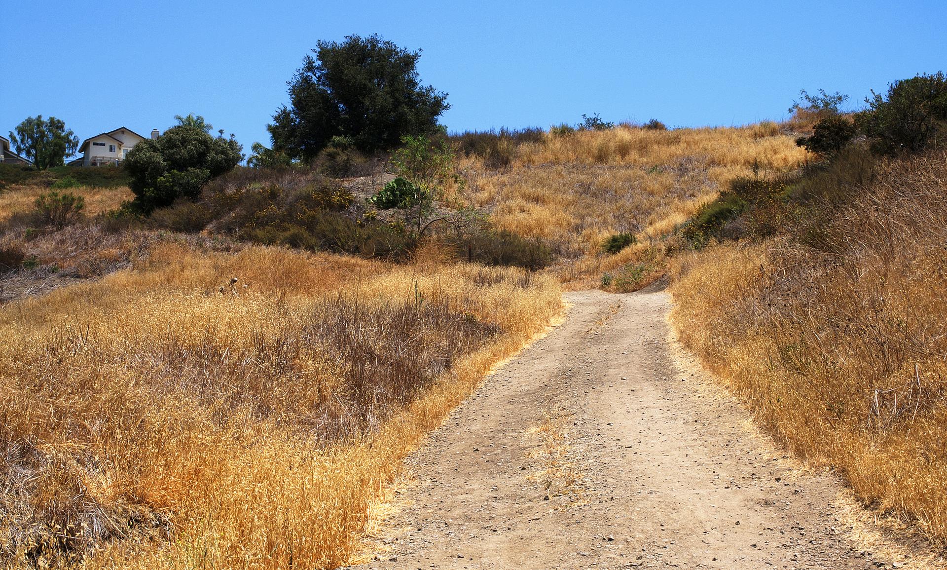 A dirt path winds uphill through dry golden hills under a clear blue sky.
