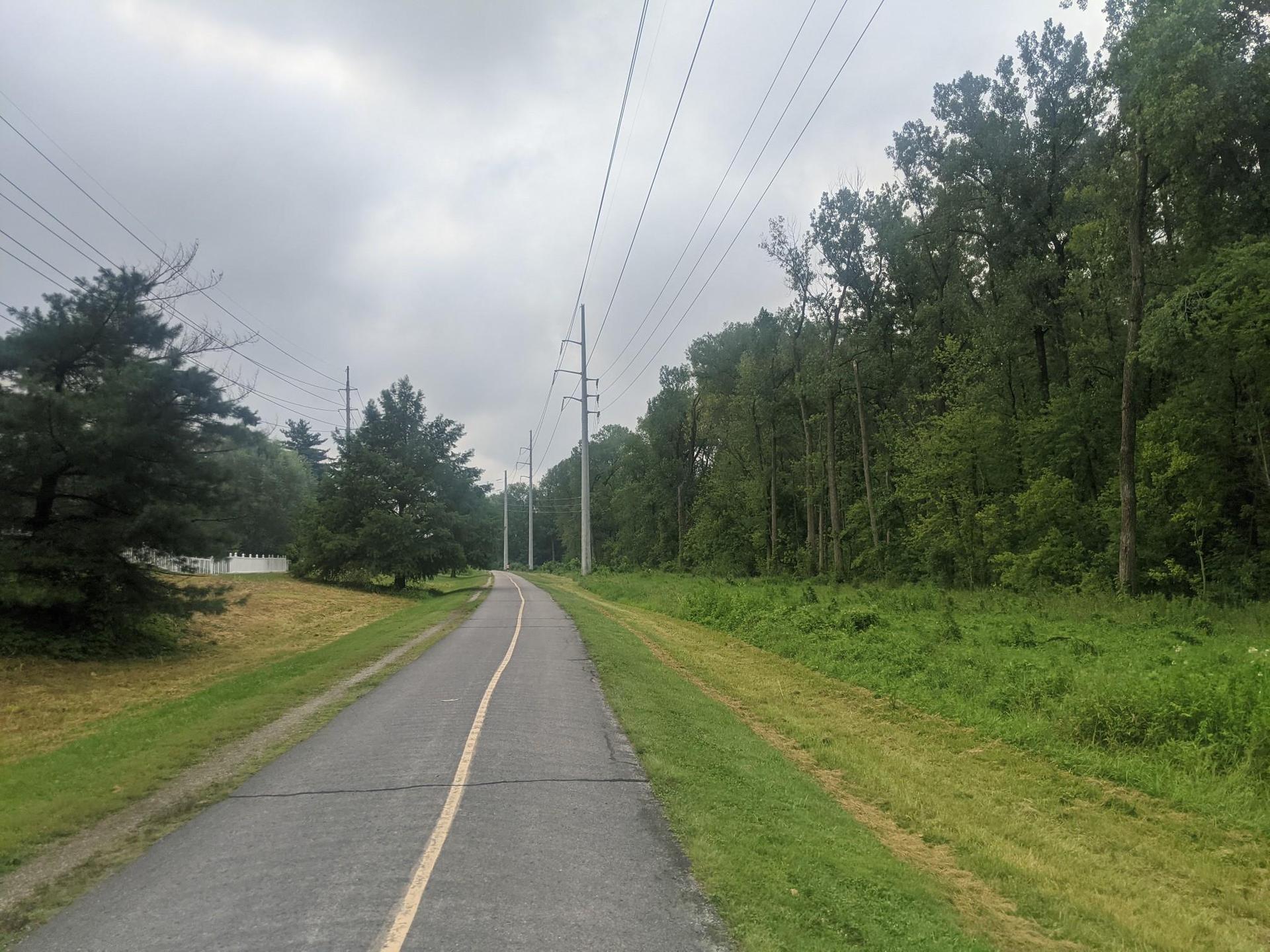 Paved path with yellow line, flanked by trees and power lines under cloudy sky.