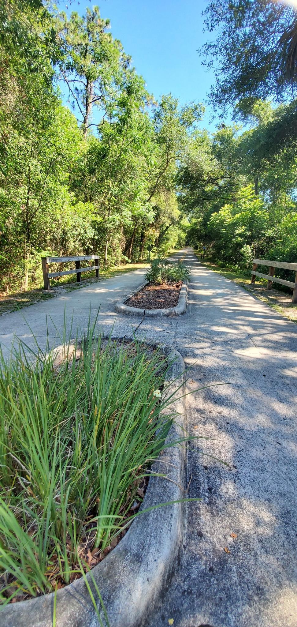 A paved path with decorative planters and wooden railings, surrounded by trees.
