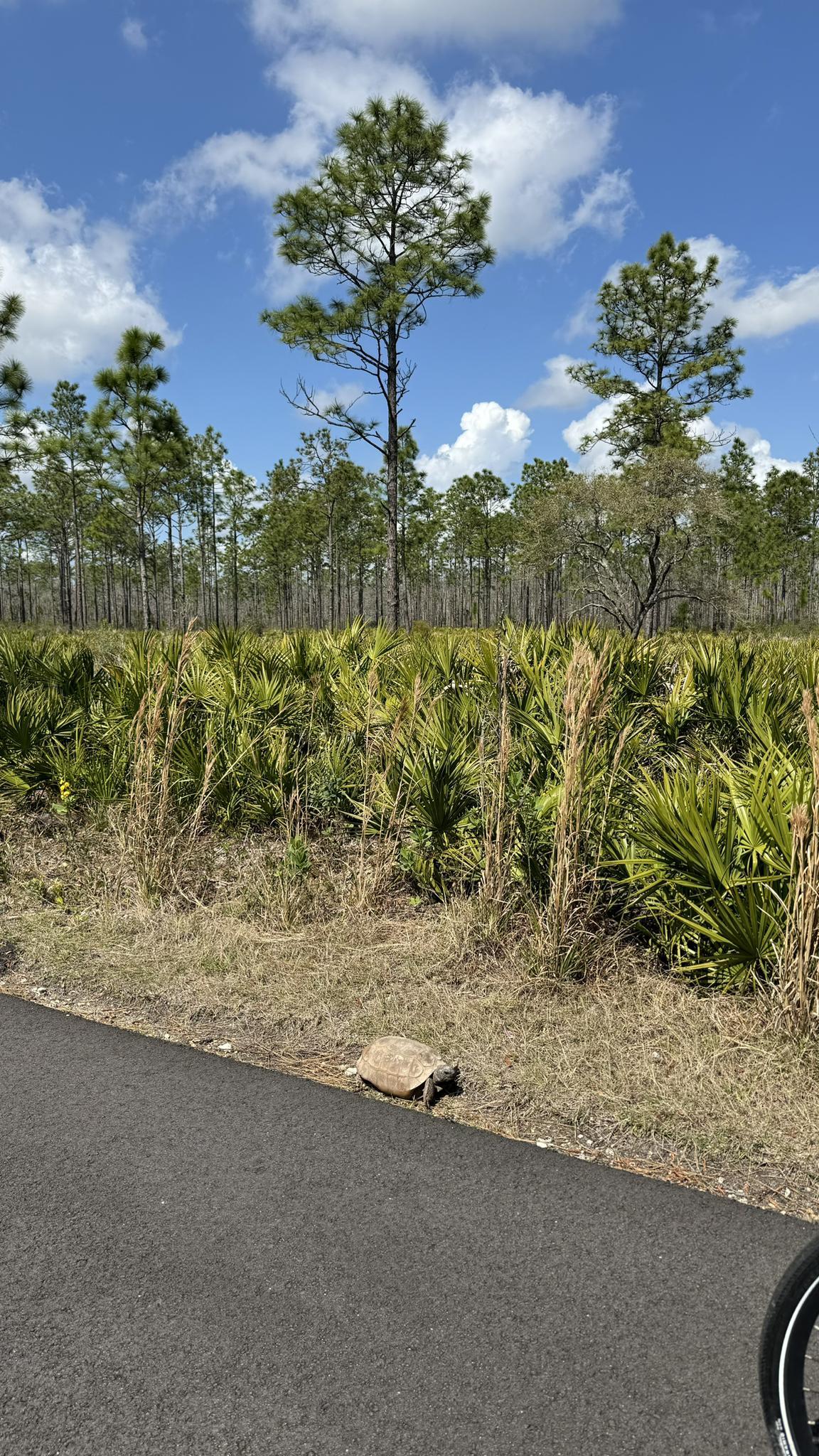 Starkey Park Trail loop J B - 0