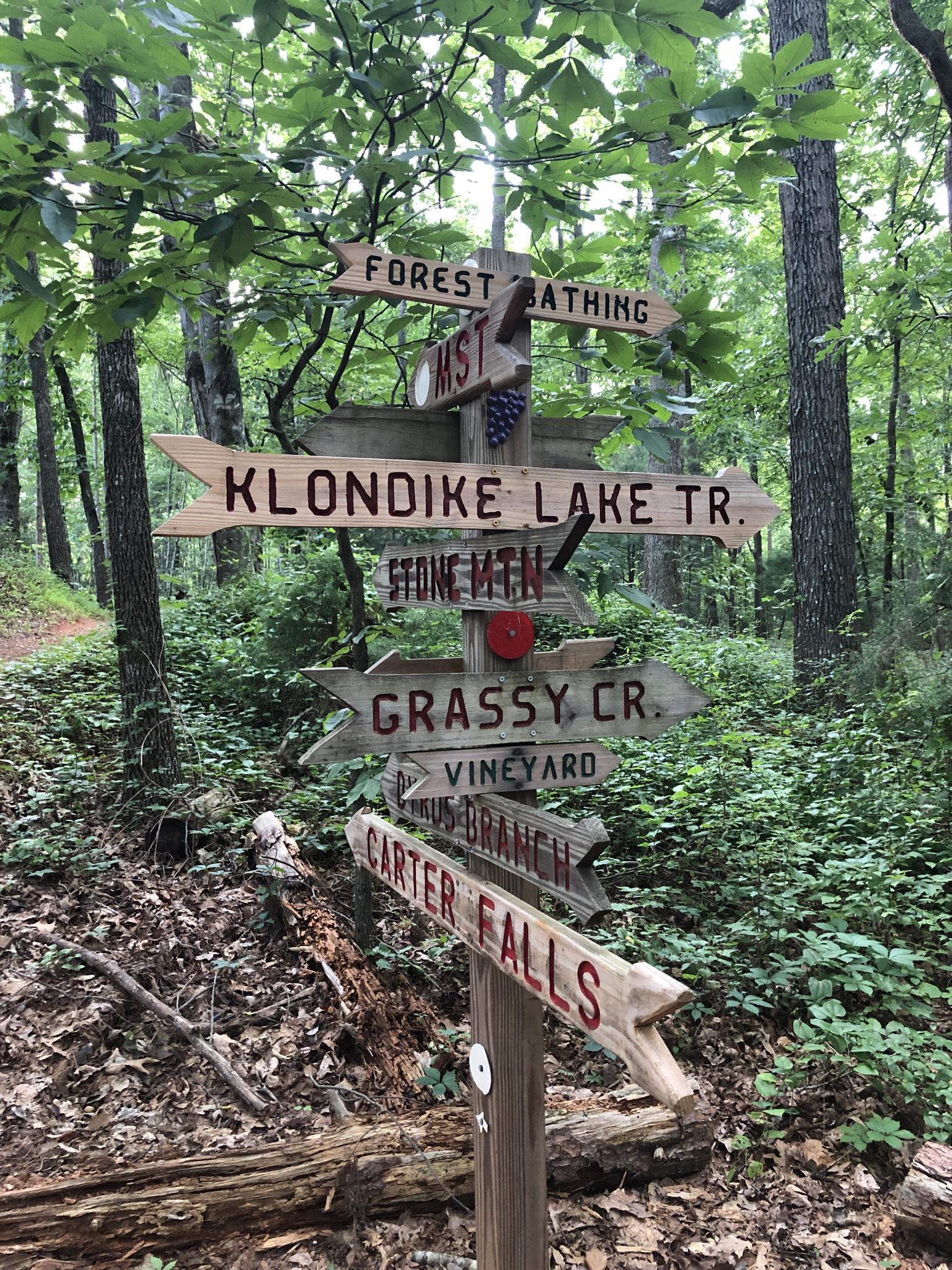 Wooden trail signpost with multiple directional arrows in a dense green forest.