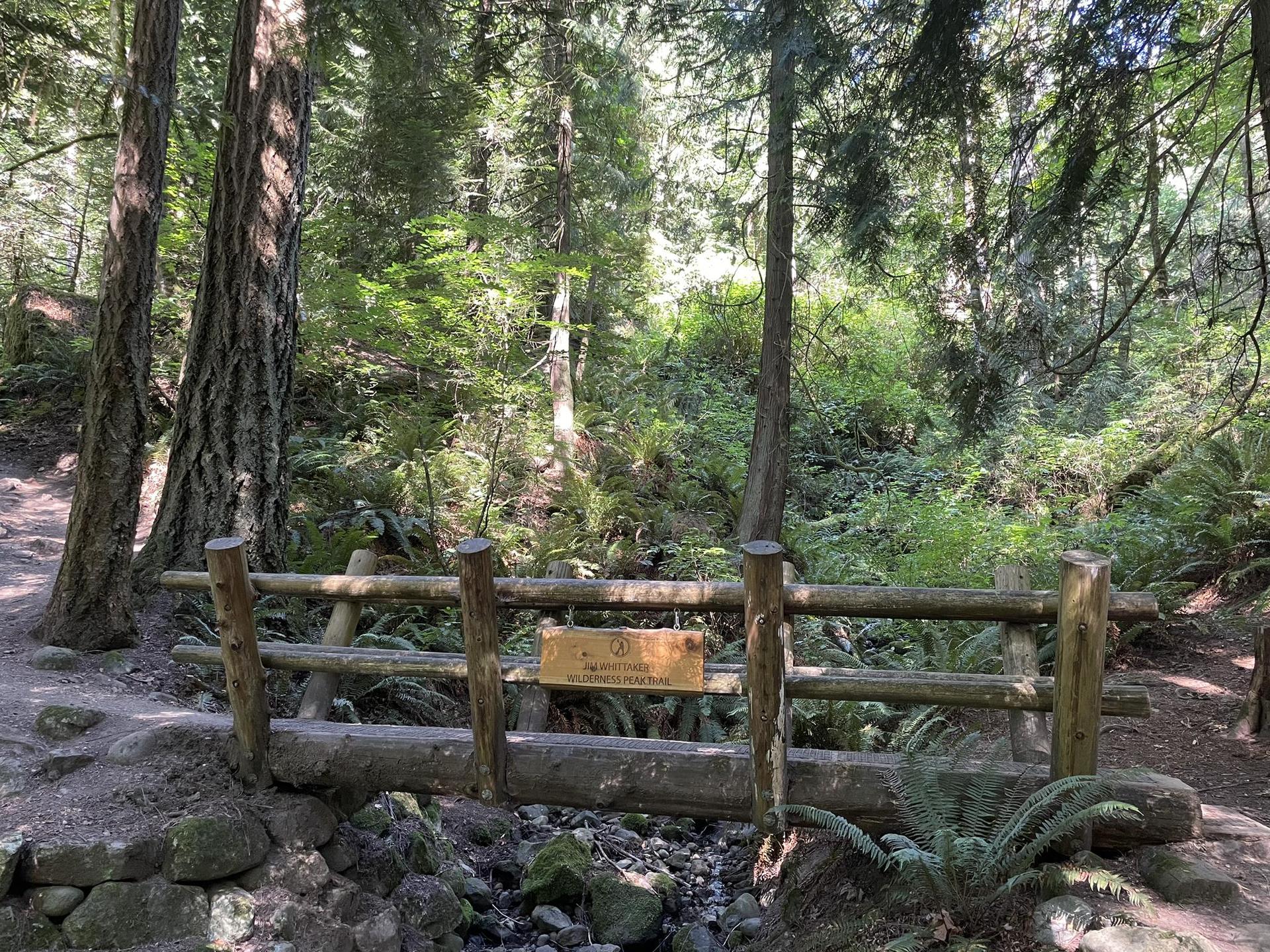 Rustic wooden fence over a stream in a sun-dappled, lush green forest.