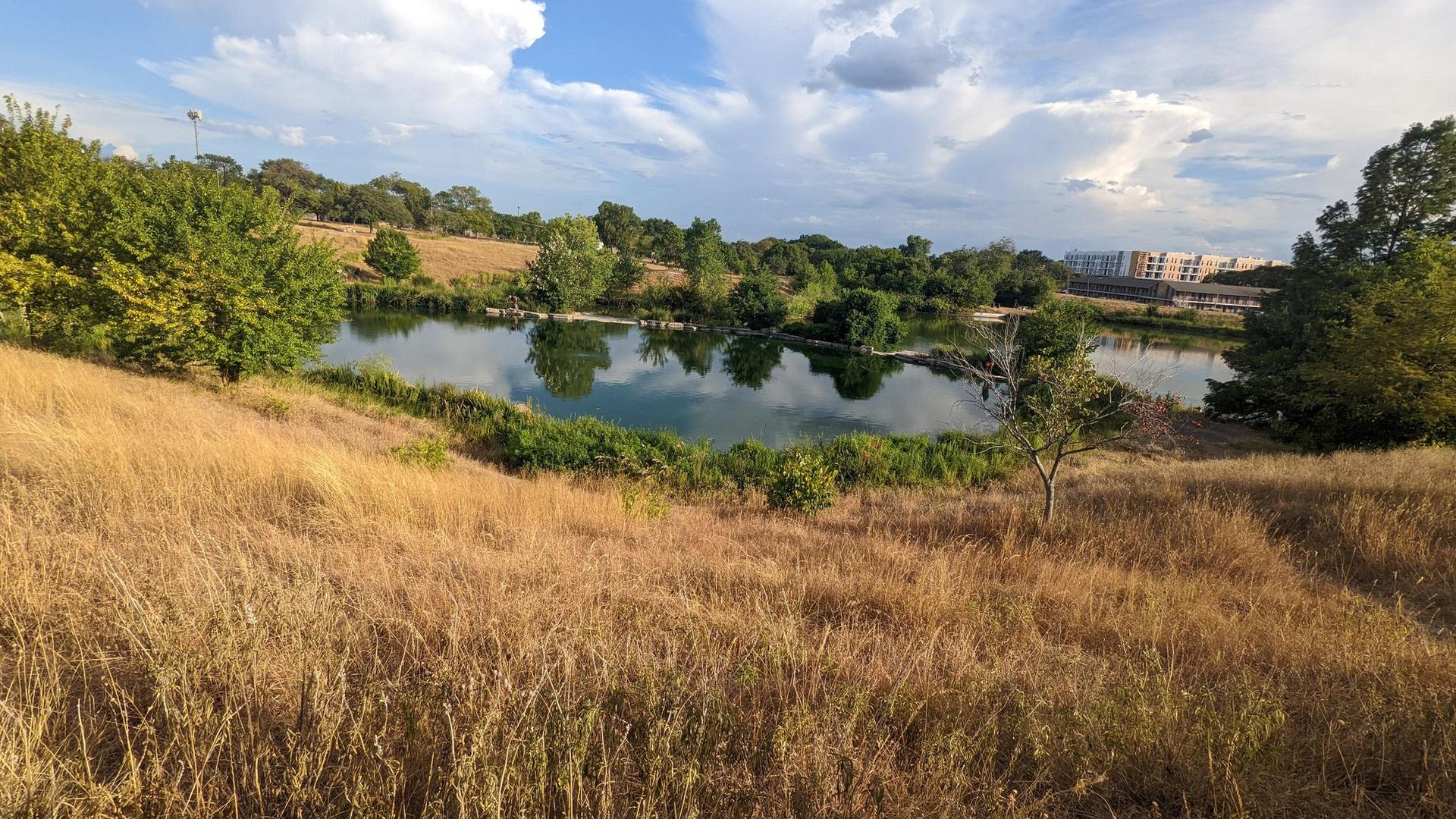 A pond surrounded by golden dry grass and green trees under a partly cloudy sky.