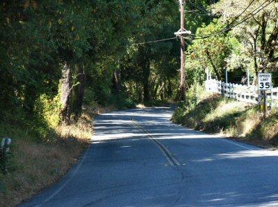 A winding paved road shaded by dense green trees on a sunny day.