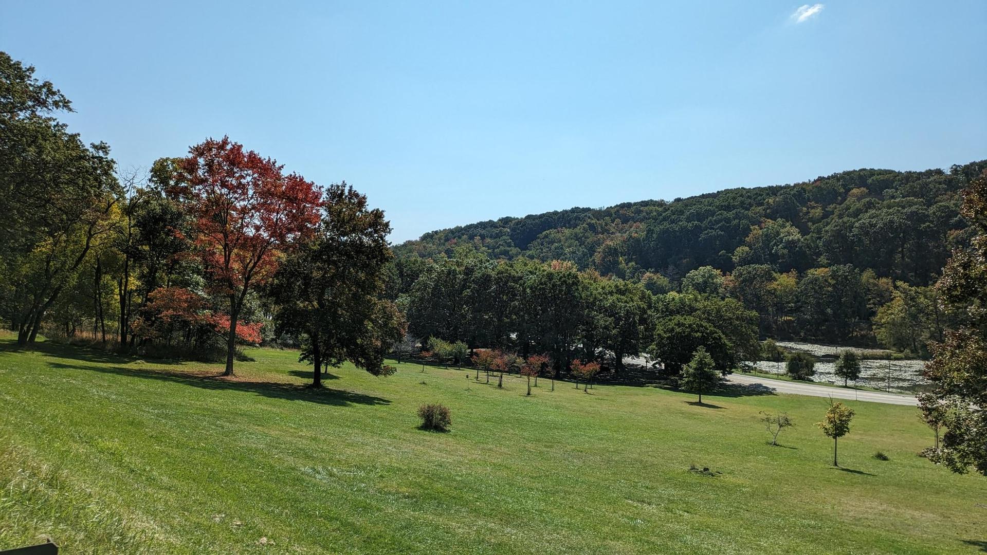 Sunny grassy hillside with trees, some autumn colors, and distant forested hills.