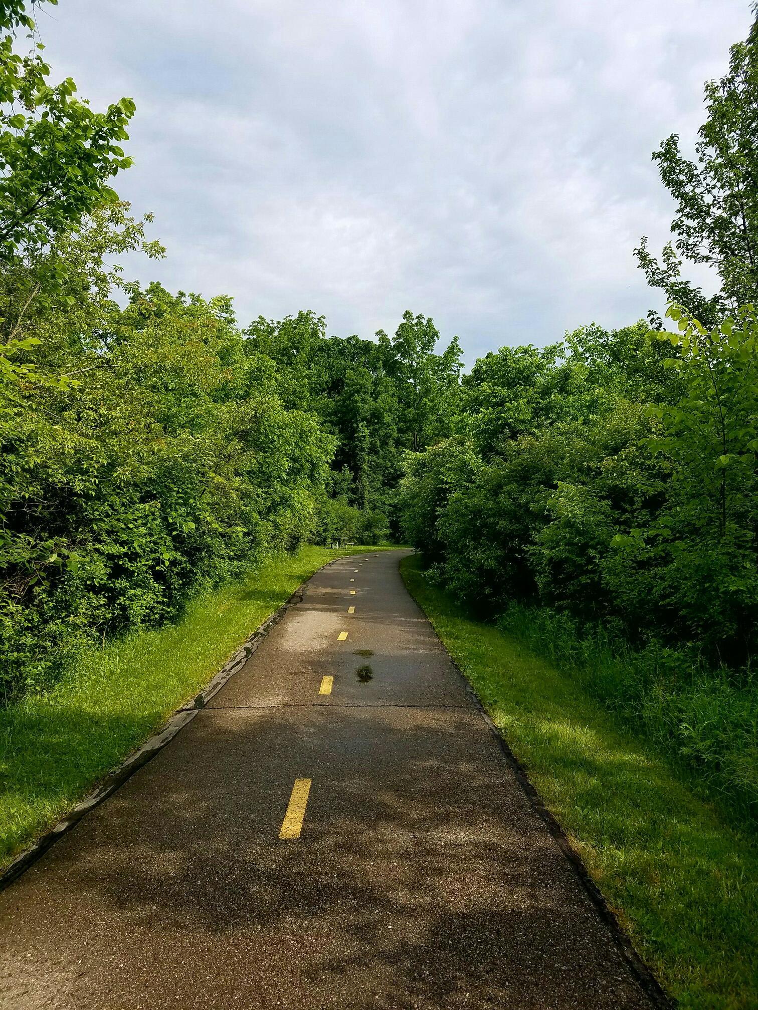 Paved path with yellow lines, bordered by green trees under an overcast sky.